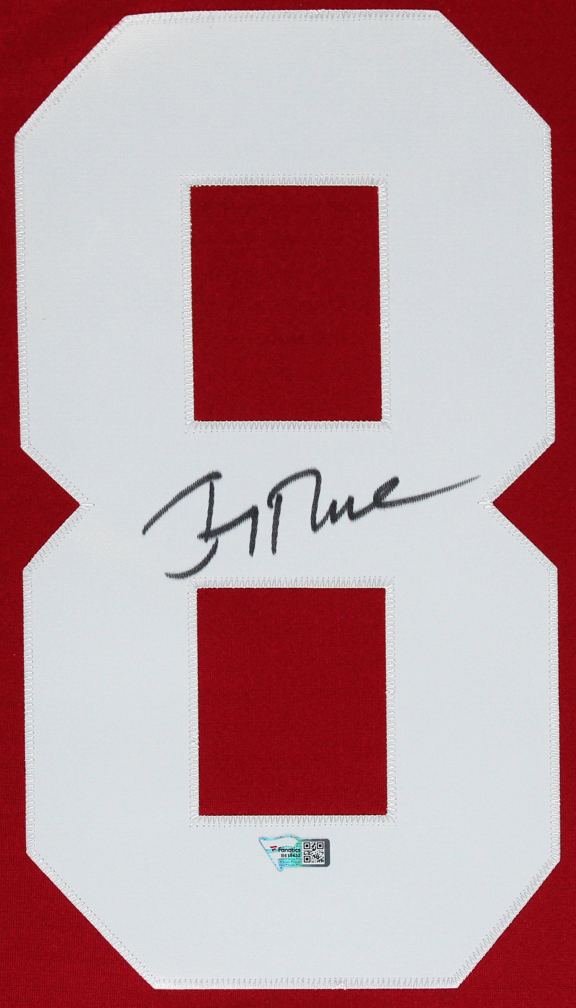 49ers Jerry Rice Authentic Signed Red Mitchell & Ness Framed Jersey Fanatics - Image 3