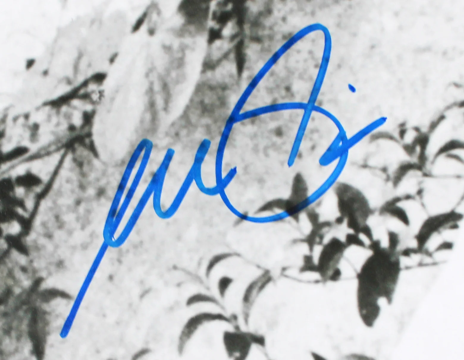 Al Pacino The Godfather Authentic Signed 16x20 Horizontal B&W Sitting Photo BAS - Image 3
