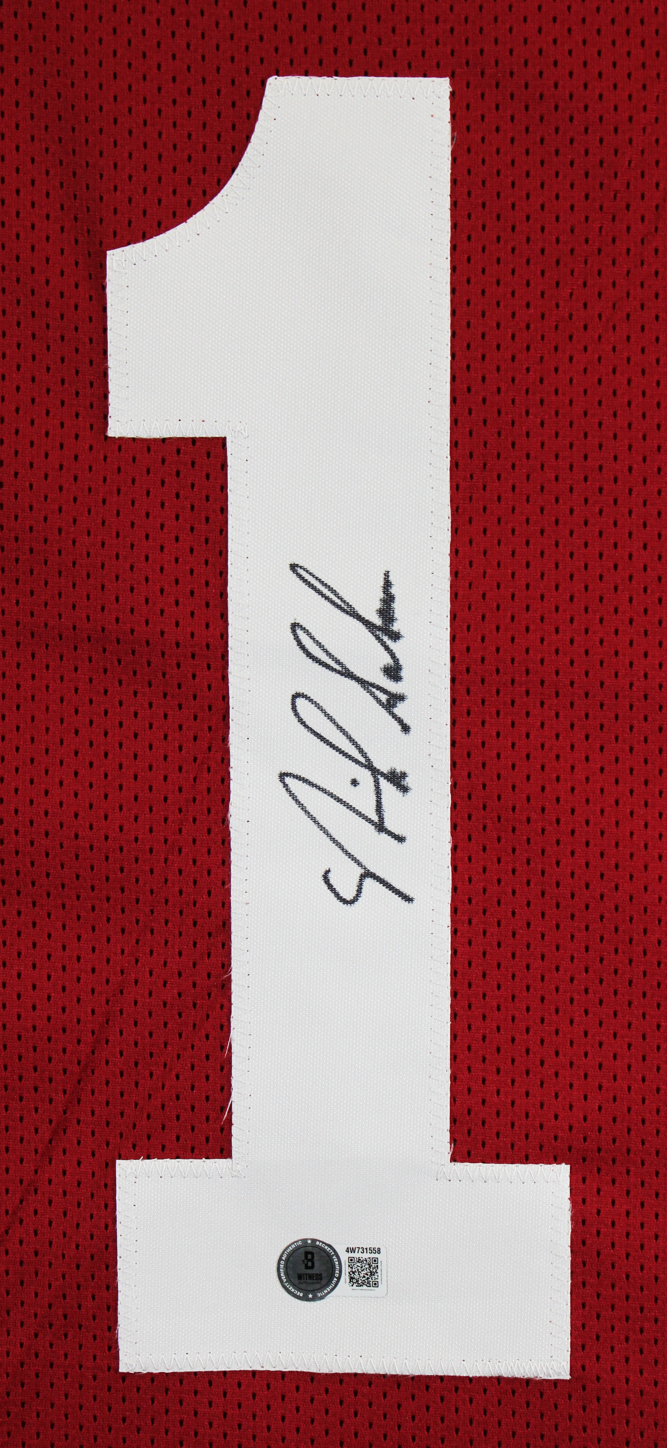 Alabama Nick Saban Authentic Signed Maroon Pro Style Jersey Autographed BAS - Image 3
