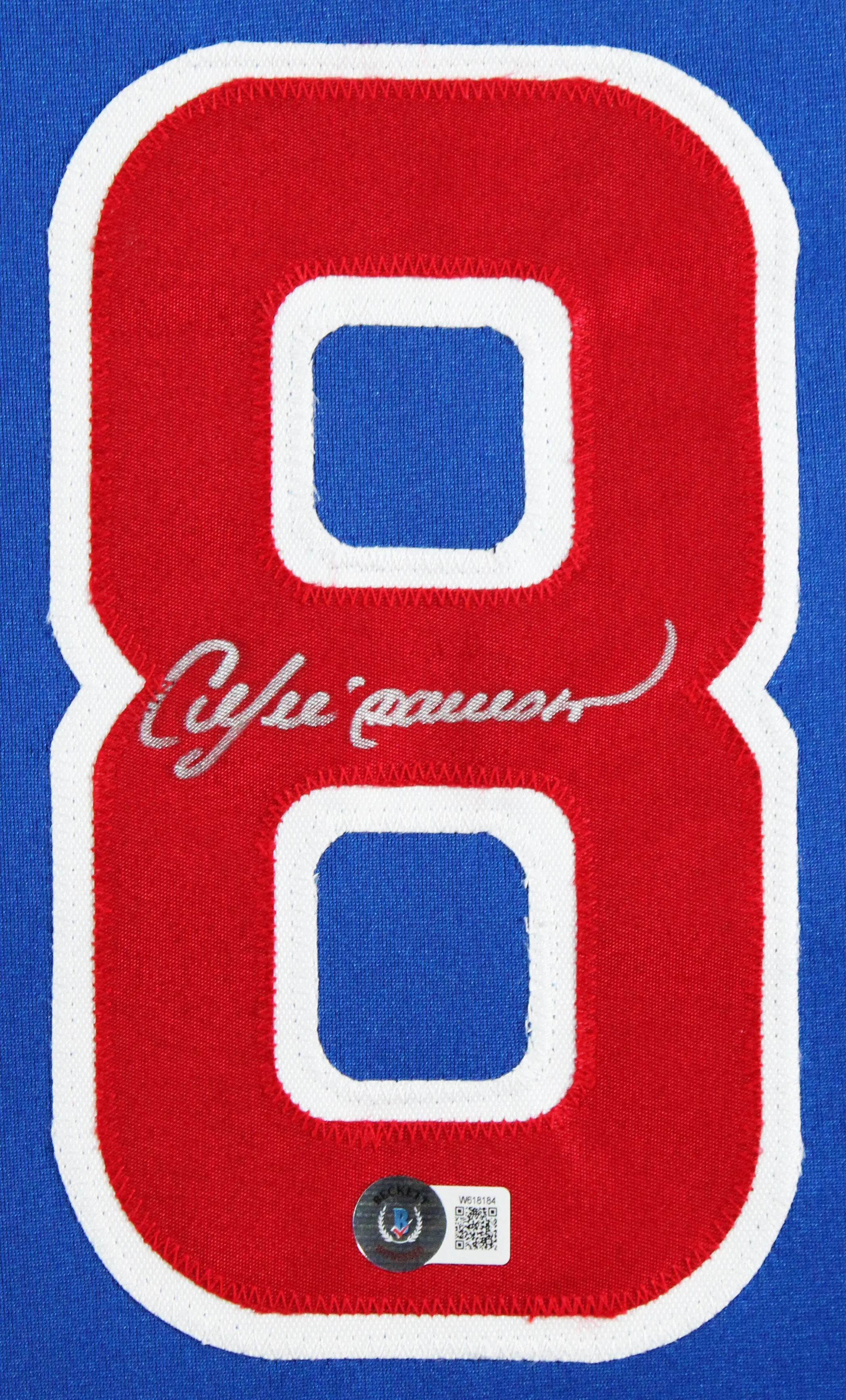 Andre Dawson Authentic Signed Blue Pro Style Framed Jersey BAS Witnessed - Image 3
