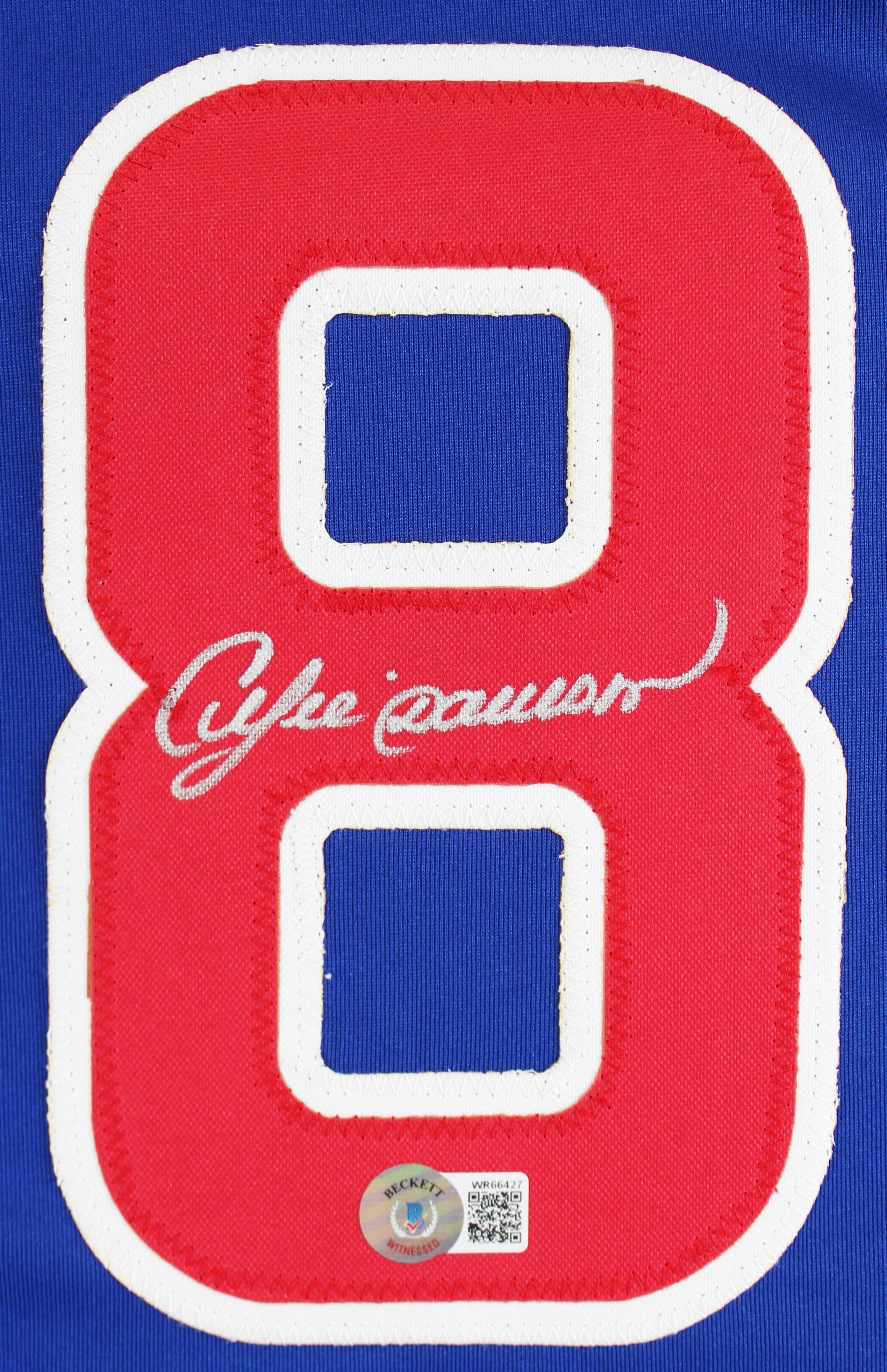 Andre Dawson Authentic Signed Blue Pro Style Jersey Autographed BAS Witnessed - Image 3