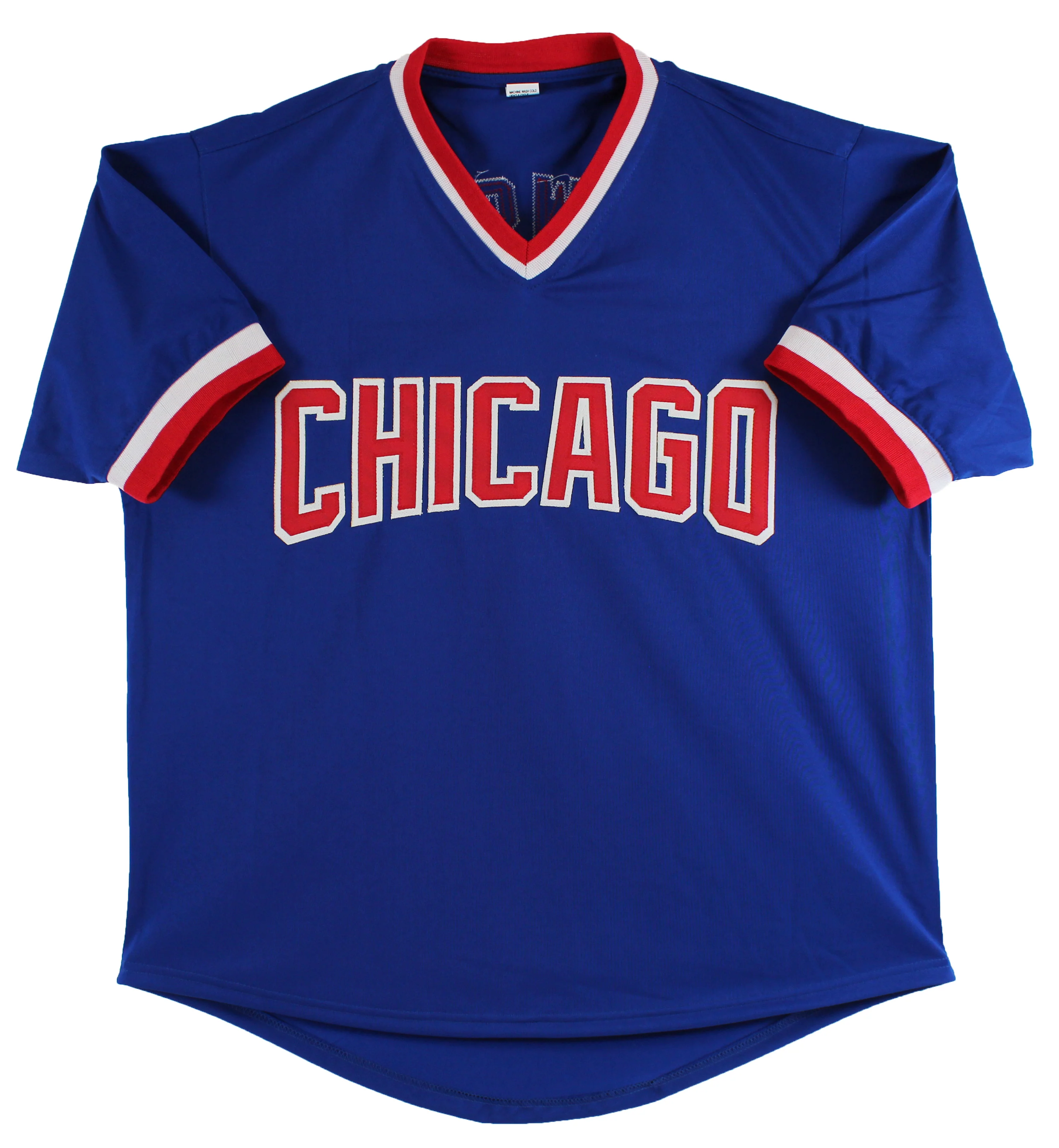 Andre Dawson Authentic Signed Blue Pro Style Jersey Autographed BAS Witnessed - Image 4