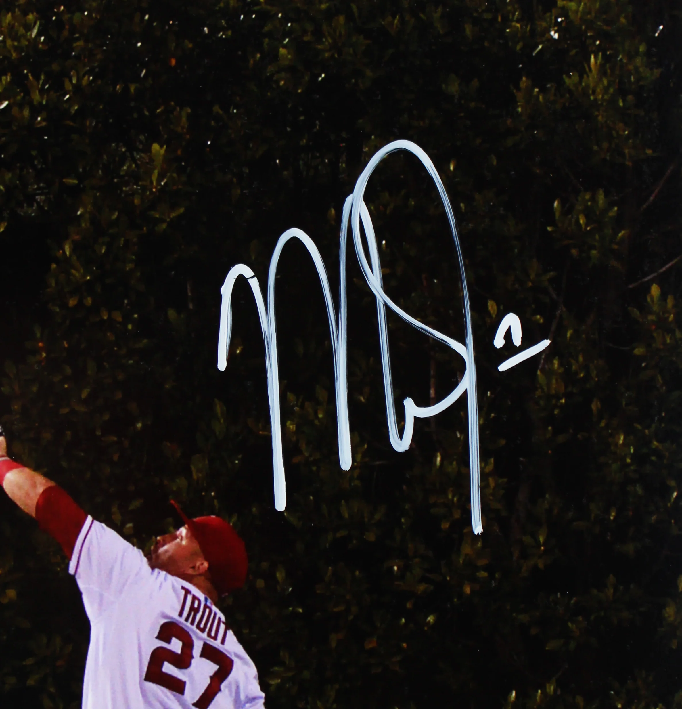 Angels Mike Trout Authentic Signed 16x20 Photo Autographed MLB #YP039886 - Image 3