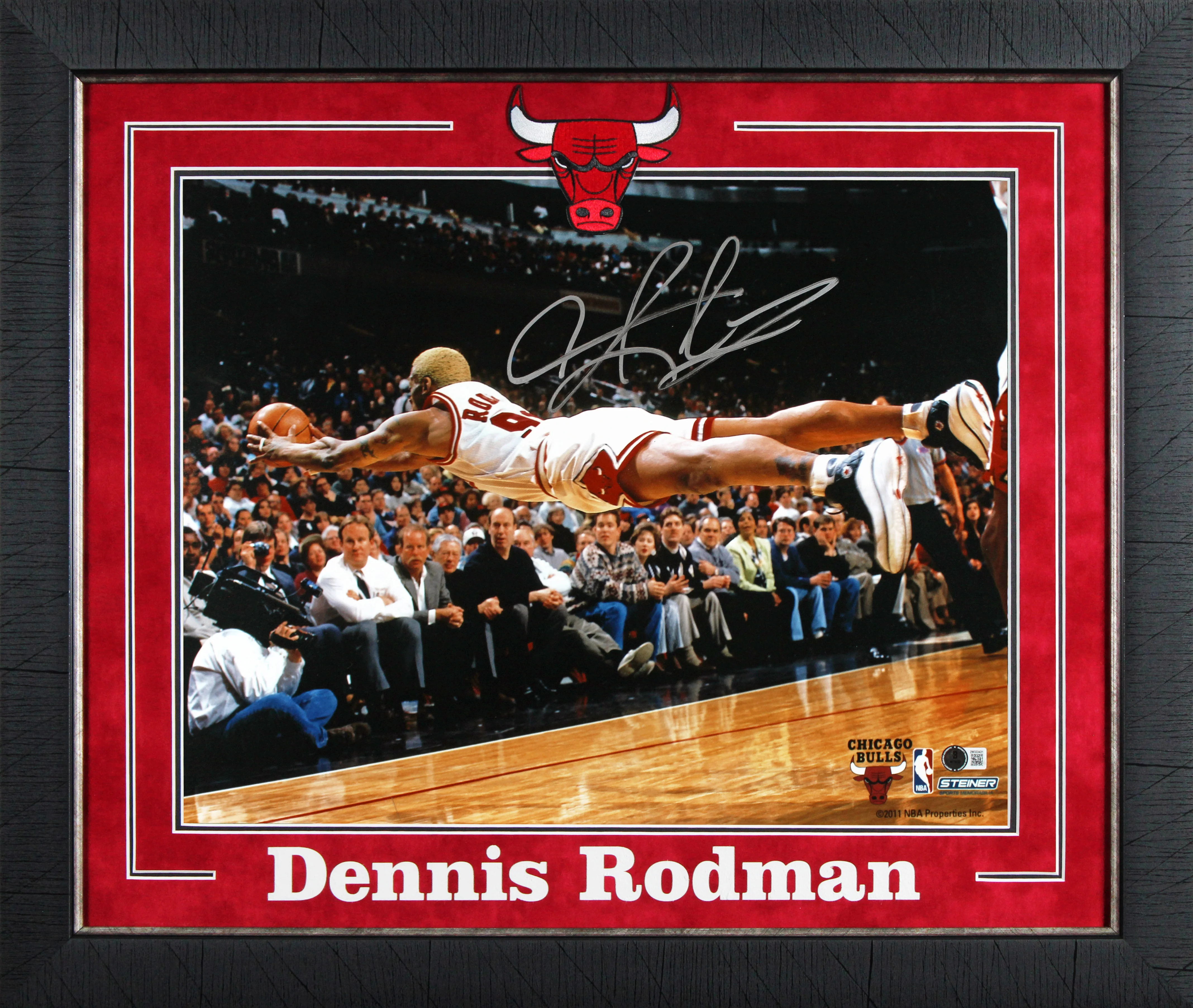 Bulls Dennis Rodman Signed 16x20 Framed Horizontal Diving Photo BAS Witnessed - Image 2