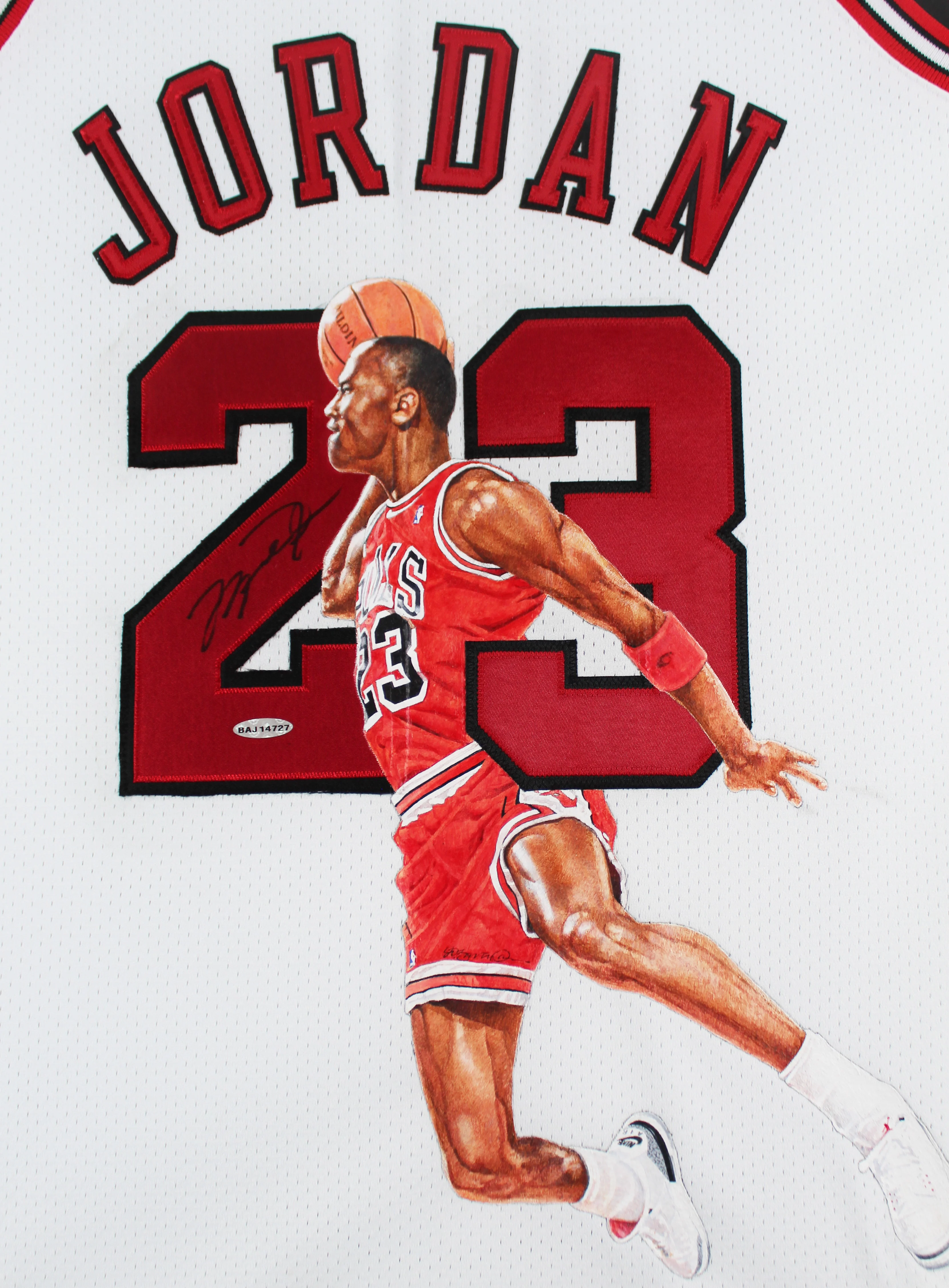 Bulls Michael Jordan Signed William Zavala Hand Painted M&N Framed Jersey UDA - Image 3