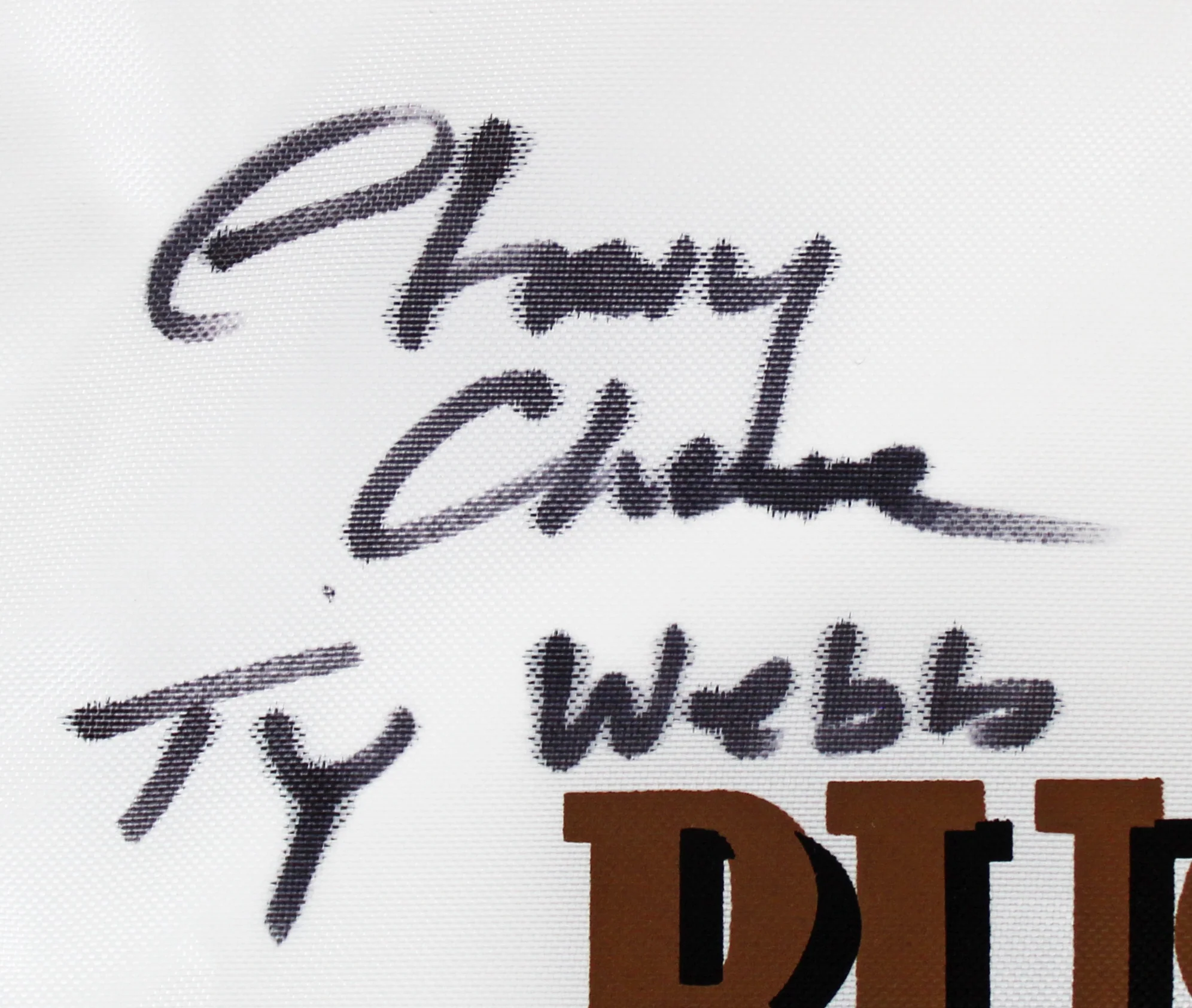 Caddyshack Chevy Chase Full Name w/ "Ty Webb" Signed Bushwood Flag BAS #I47052 - Image 3