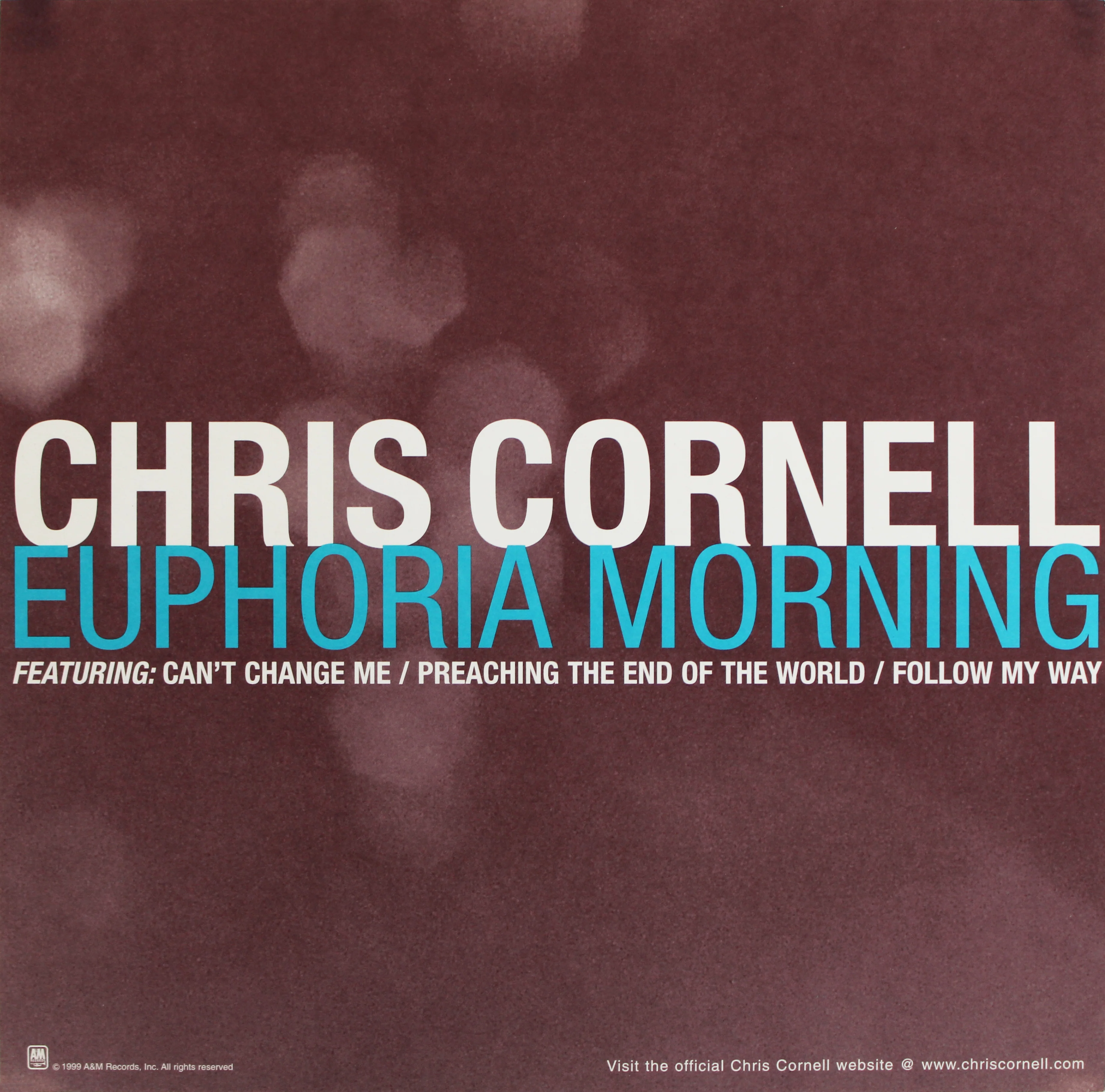 Chris Cornell Authentic Signed Euphoria Morning Album Flat JSA #ZZ66510 - Image 4