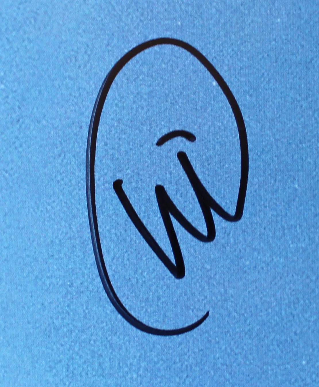 Coldplay Martin, Berryman +2 Signed Moon Music Album Flat w/ Album & Vinyl BAS - Image 5