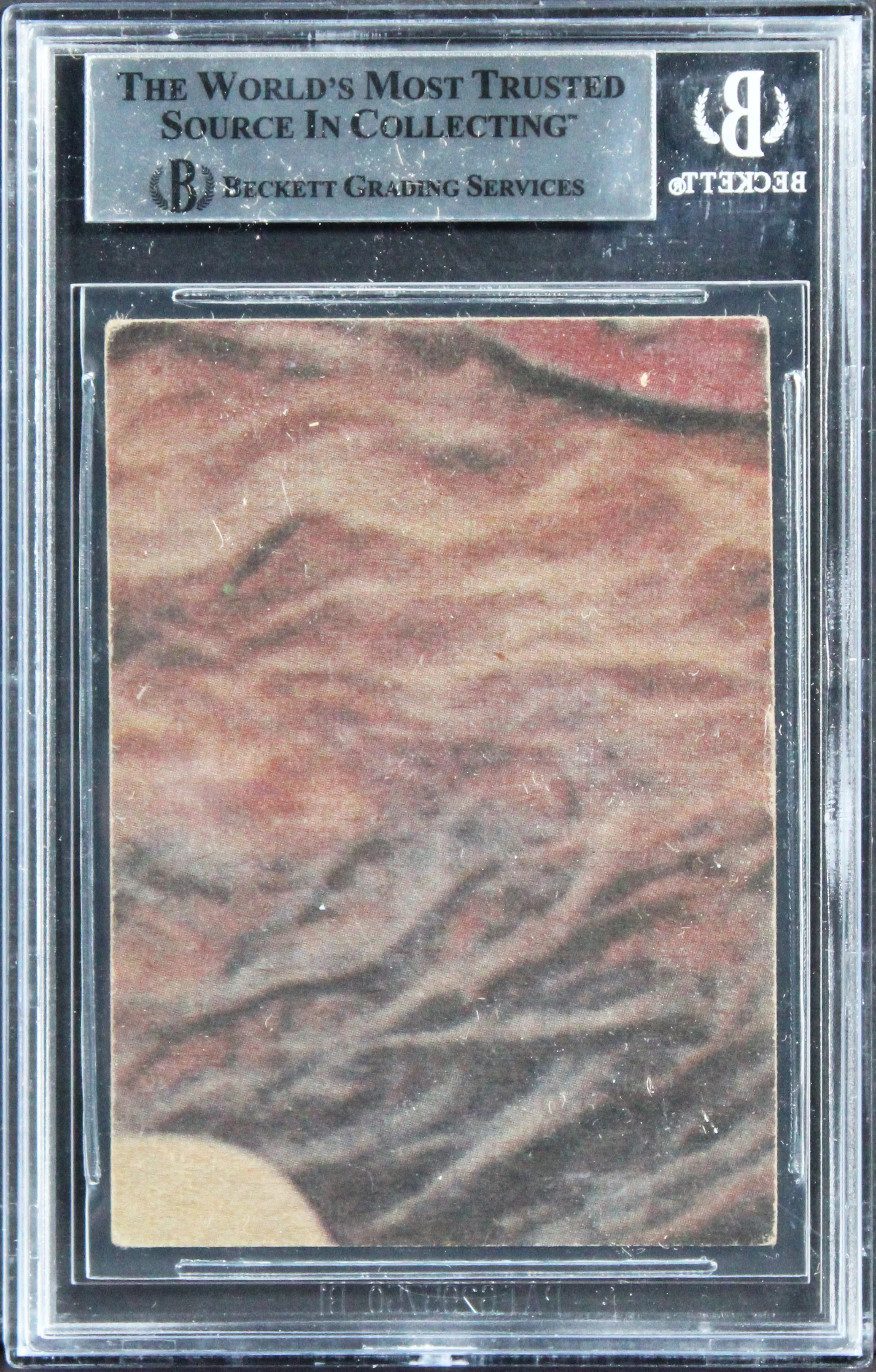 David Prowse & Terry McGovern Authentic Signed 1977 Star Wars #75 Card BAS Slab - Image 3