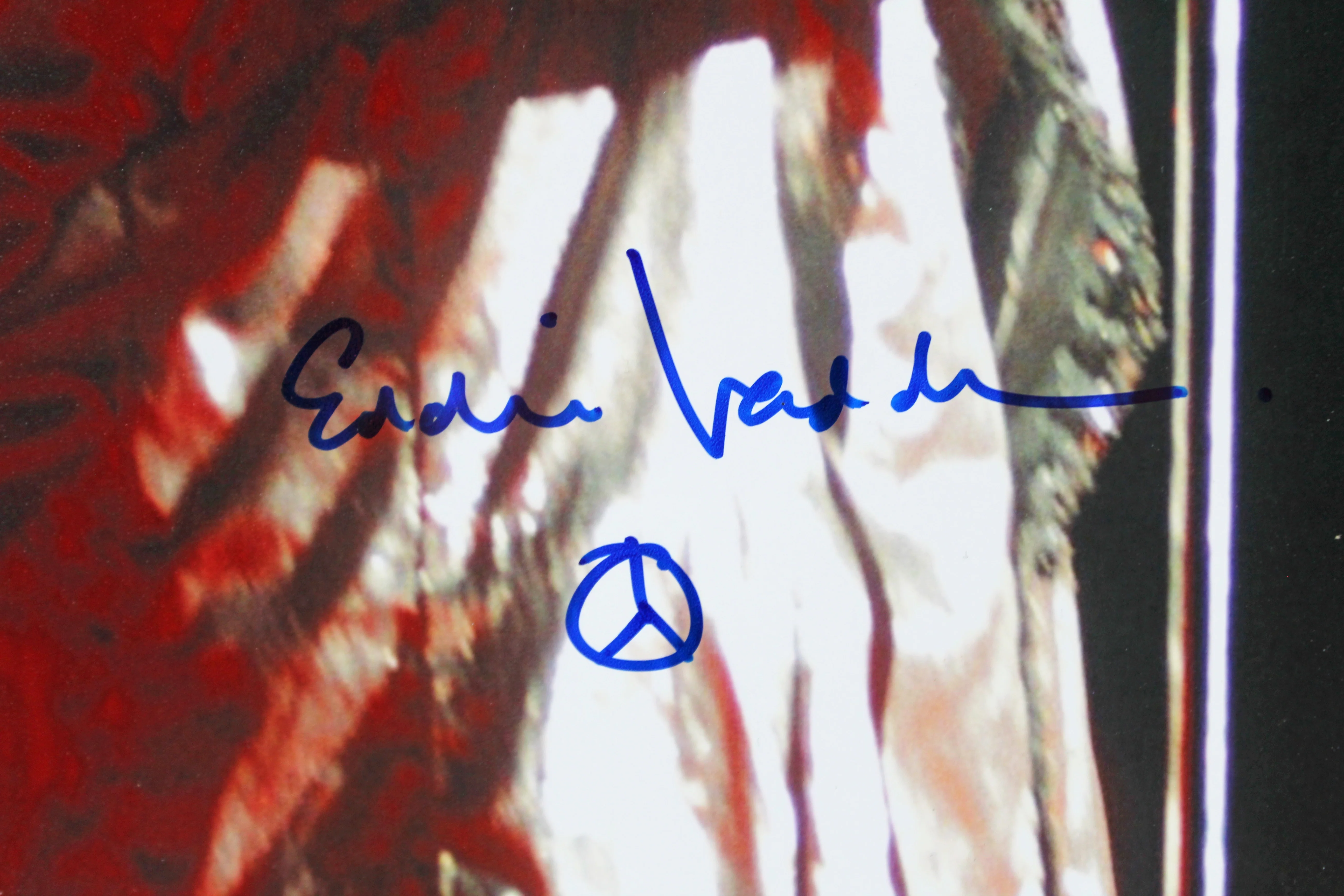 Eddie Vedder Pearl Jam Authentic Signed 11x14 Photo JSA #YY55488 - Image 3