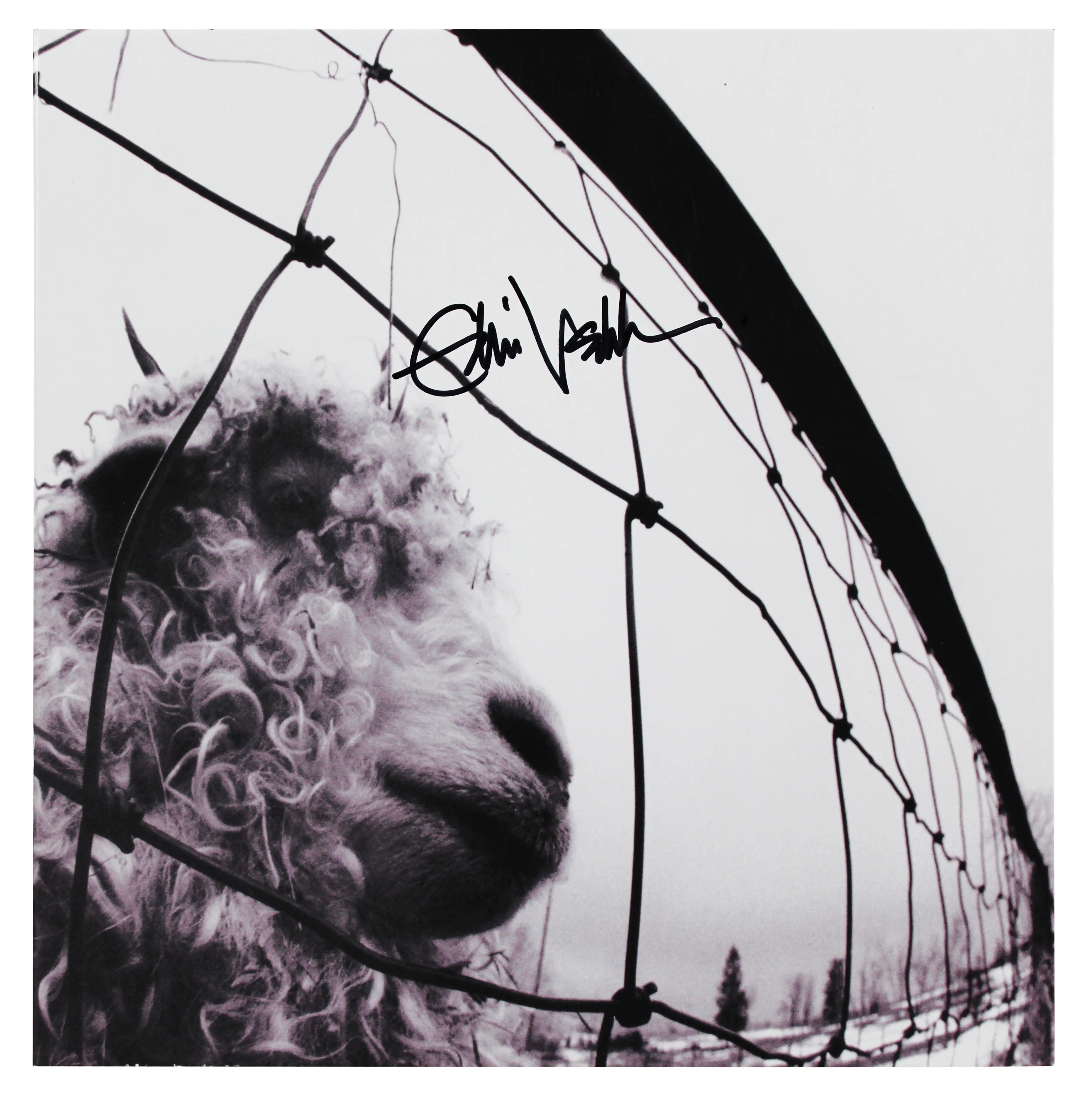 Eddie Vedder Pearl Jam Authentic Signed Vs. Album Cover Auto 10! BAS #AC94818 - Image 2