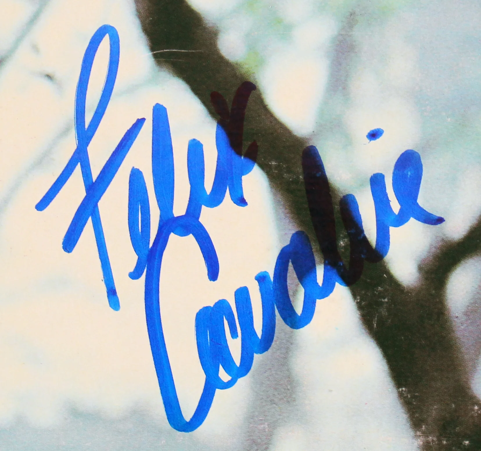 Felix Cavaliere Signed Destiny Promotional Copy Album Cover W/ Vinyl BAS #Z00968 - Image 4