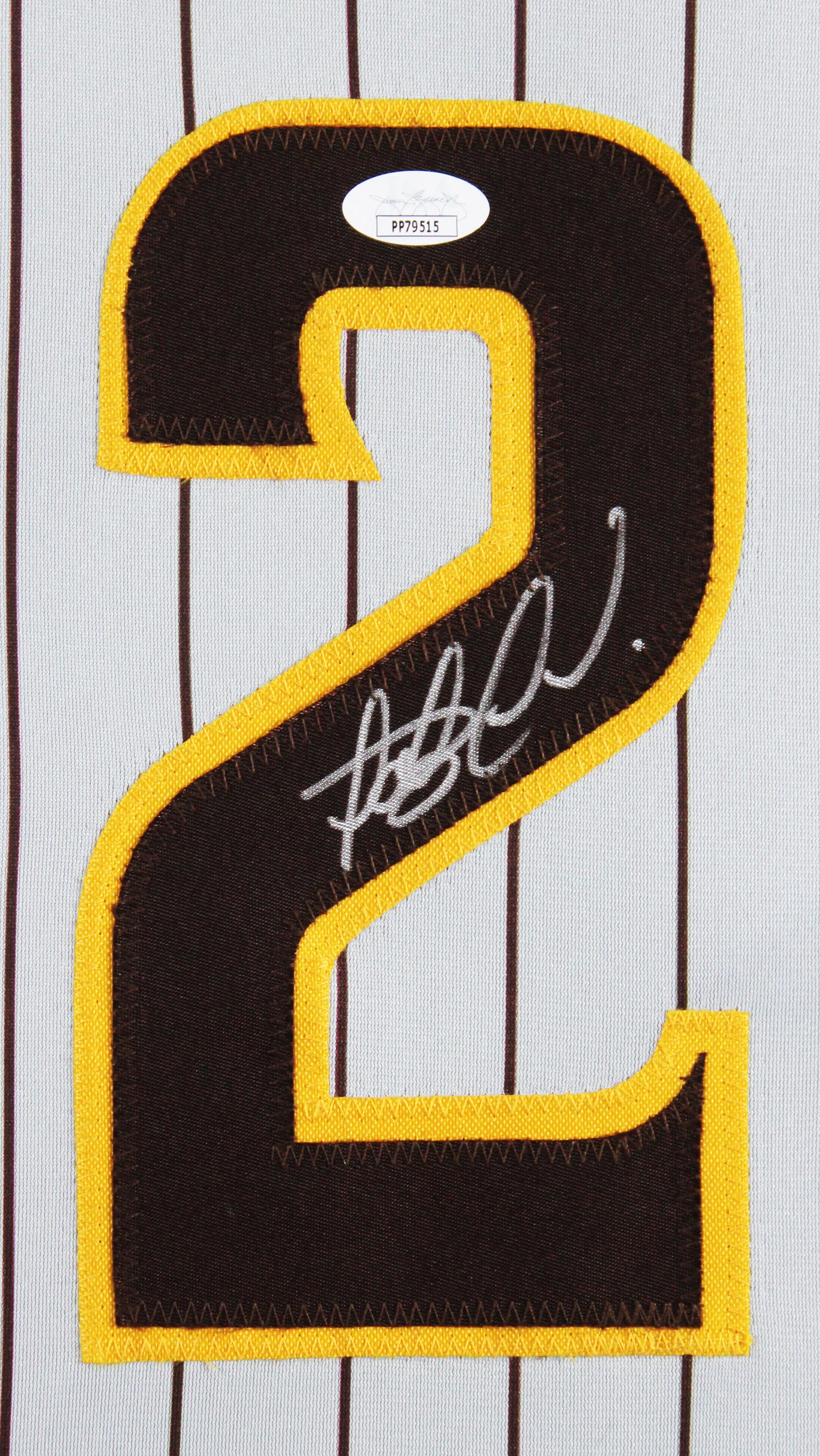 Fernando Tatis Jr. Authentic Signed Grey Pinstripe Pro Style Framed Jersey JSA - Image 3