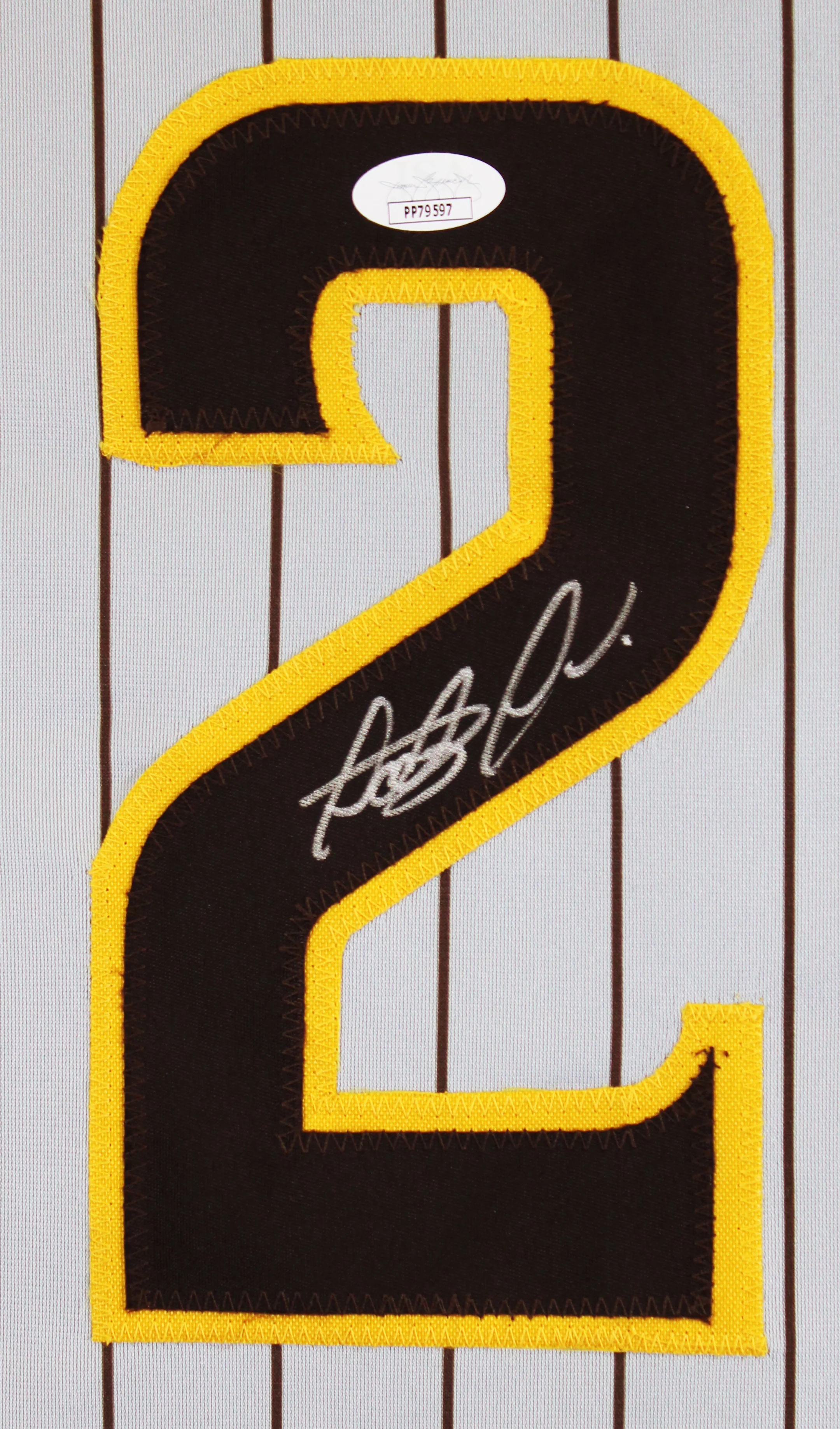 Fernando Tatis Jr. Authentic Signed Grey Pinstripe Pro Style Jersey JSA - Image 3