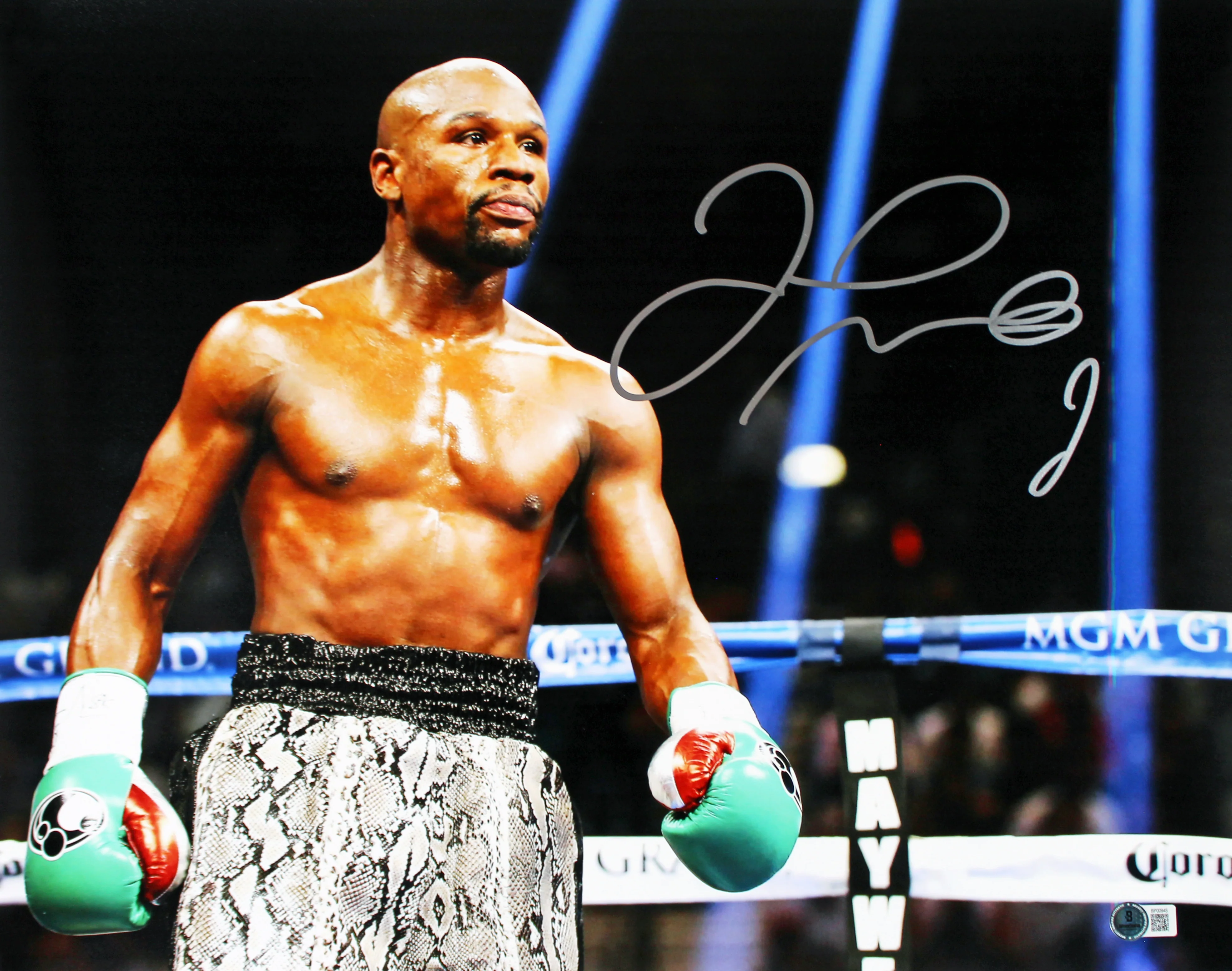 Floyd Mayweather Authentic Signed 16x20 Horizontal Photo w/ Green Gloves BAS - Image 2