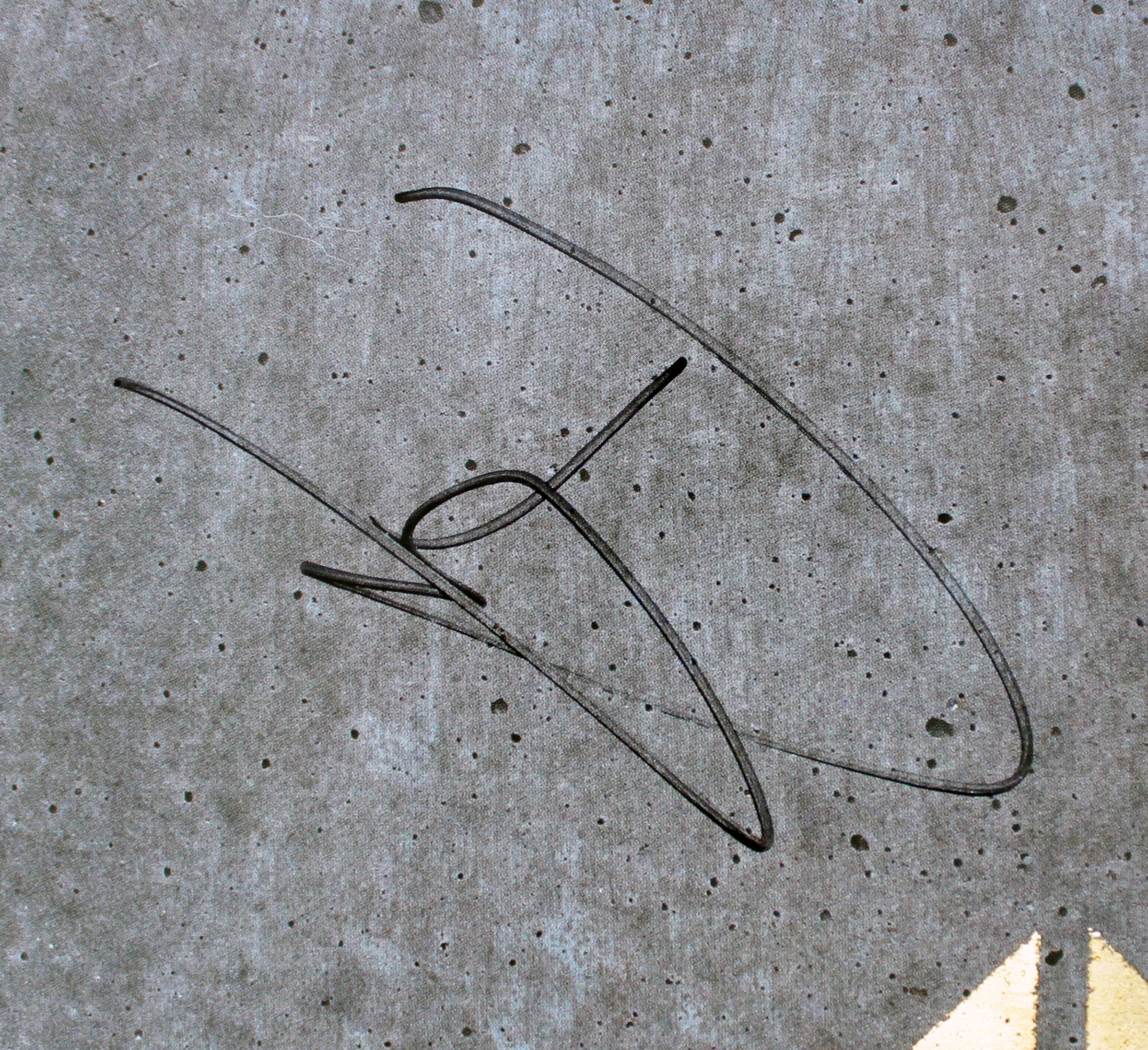 Foo Fighters (6) Grohl, Hawkins, Smear +3 Signed Album Cover W/ Vinyl BAS LOA - Image 4