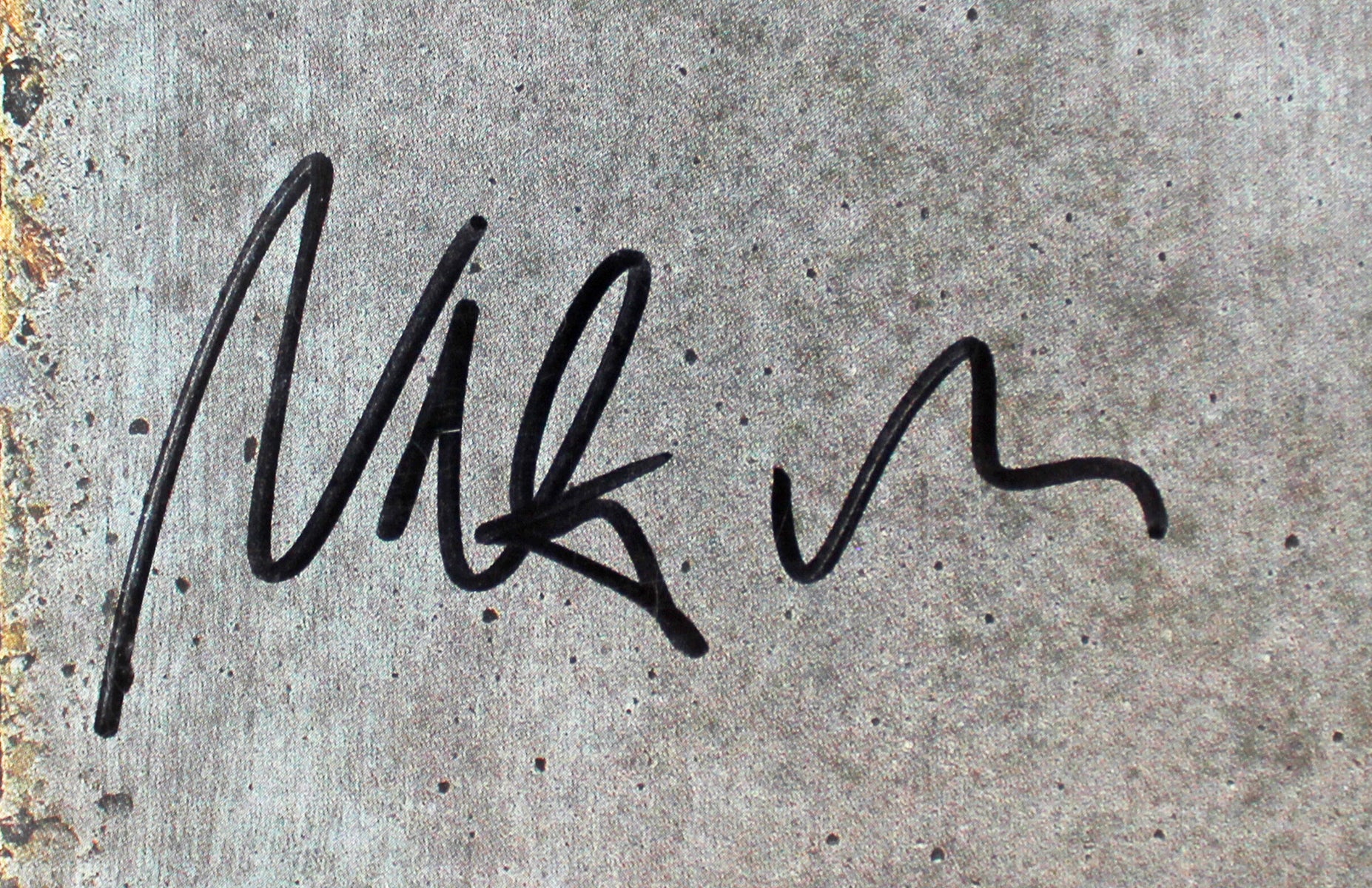 Foo Fighters (6) Grohl, Hawkins, Smear +3 Signed Album Cover W/ Vinyl BAS LOA - Image 7