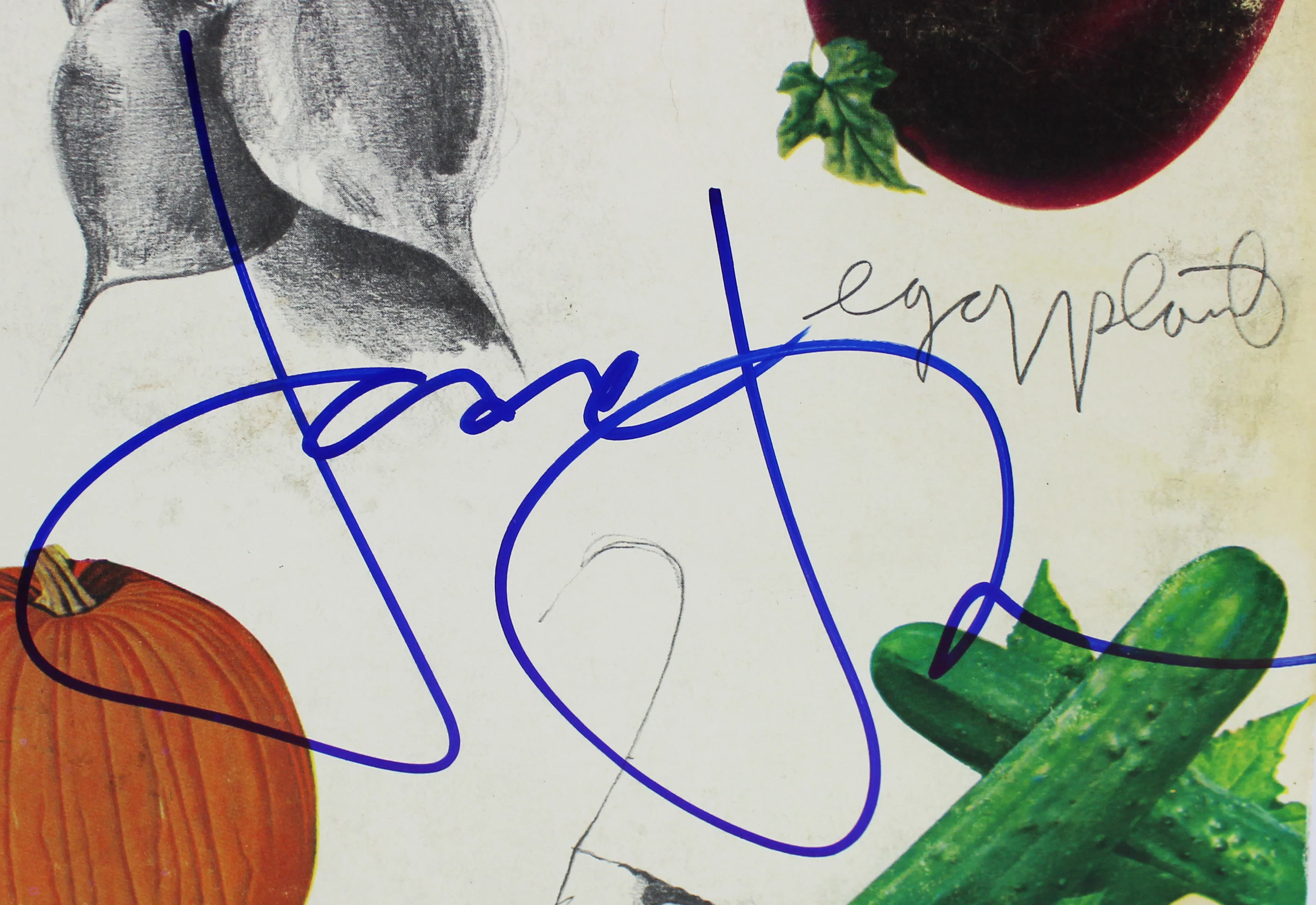 Jack Bruce Cream Authentic Signed Best Of Cream Album Cover W/ Vinyl PSA #T76234 - Image 3