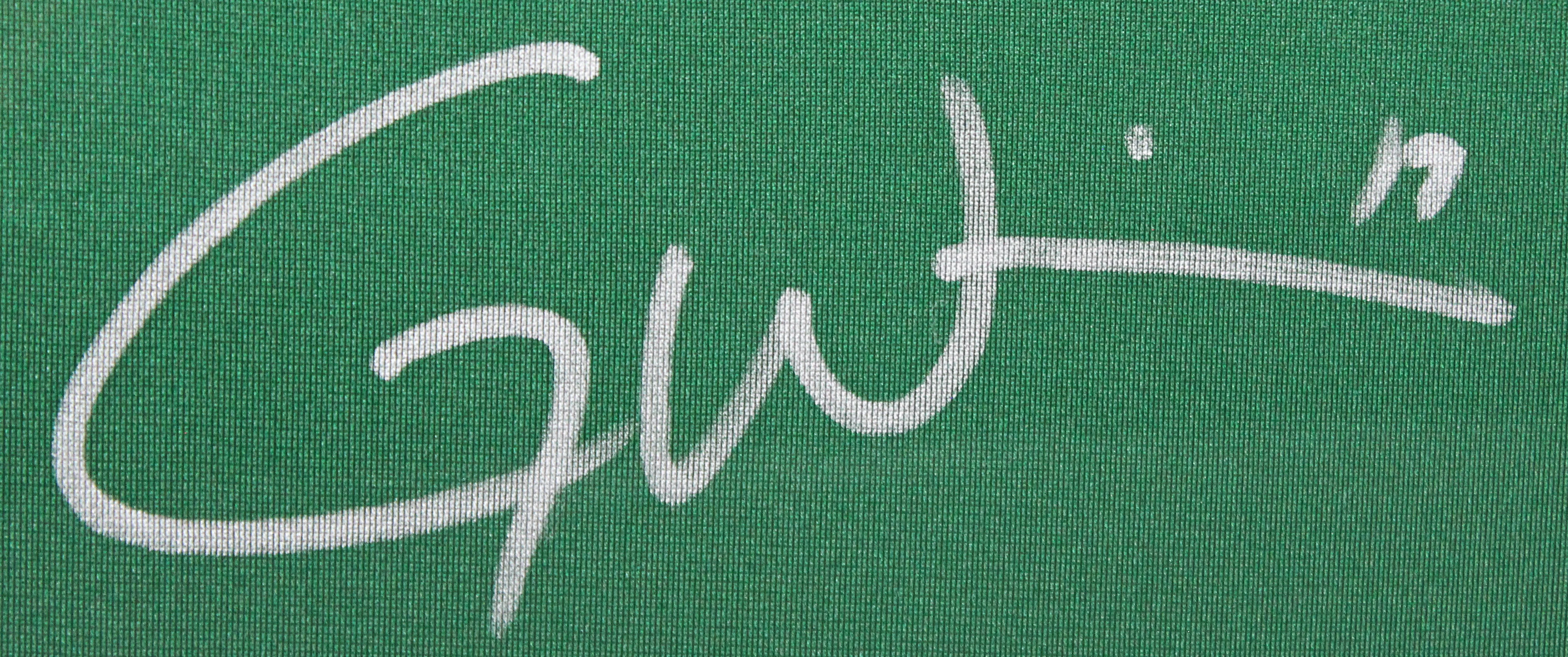 Jets Garrett Wilson Authentic Signed Green Nike Game Framed Jersey Fanatics - Image 3