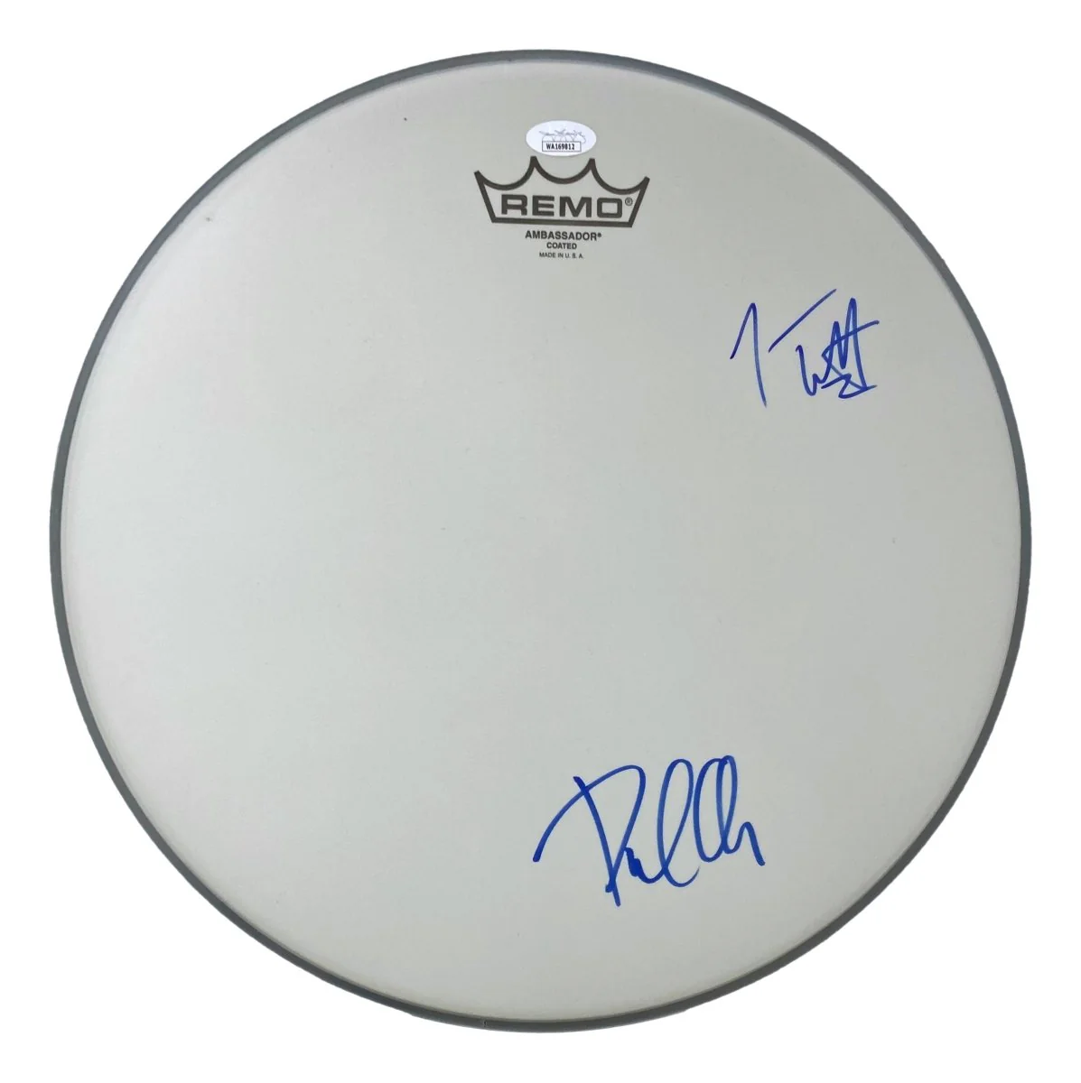 Joe Elliott Phil Collen Def Leppard Signed 15" Flt Gray Remo Drum Head JSA Holo