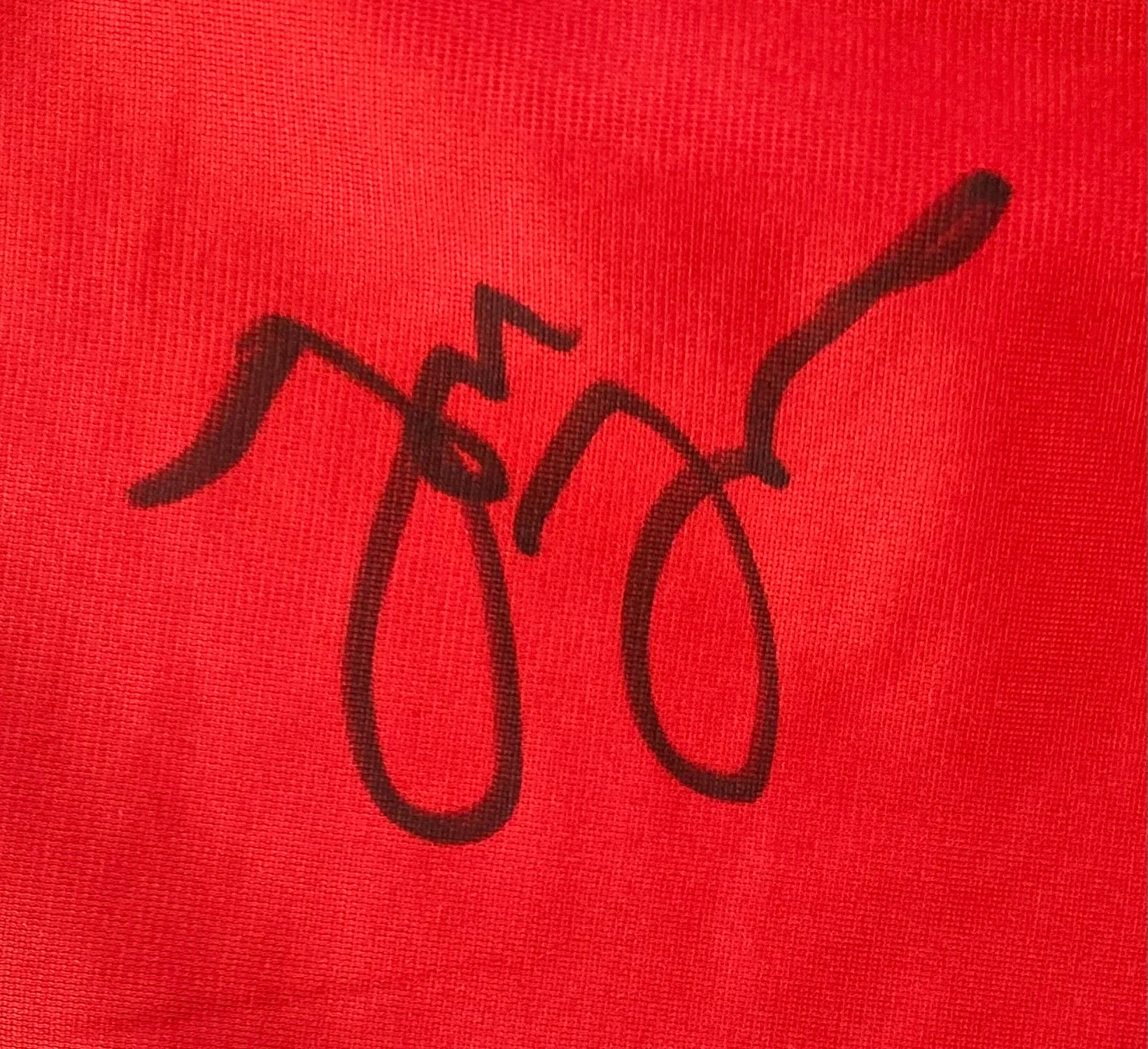 Jon Jones Signed Custom Black/Red MMA Fighting Trunks BAS ITP - Image 2