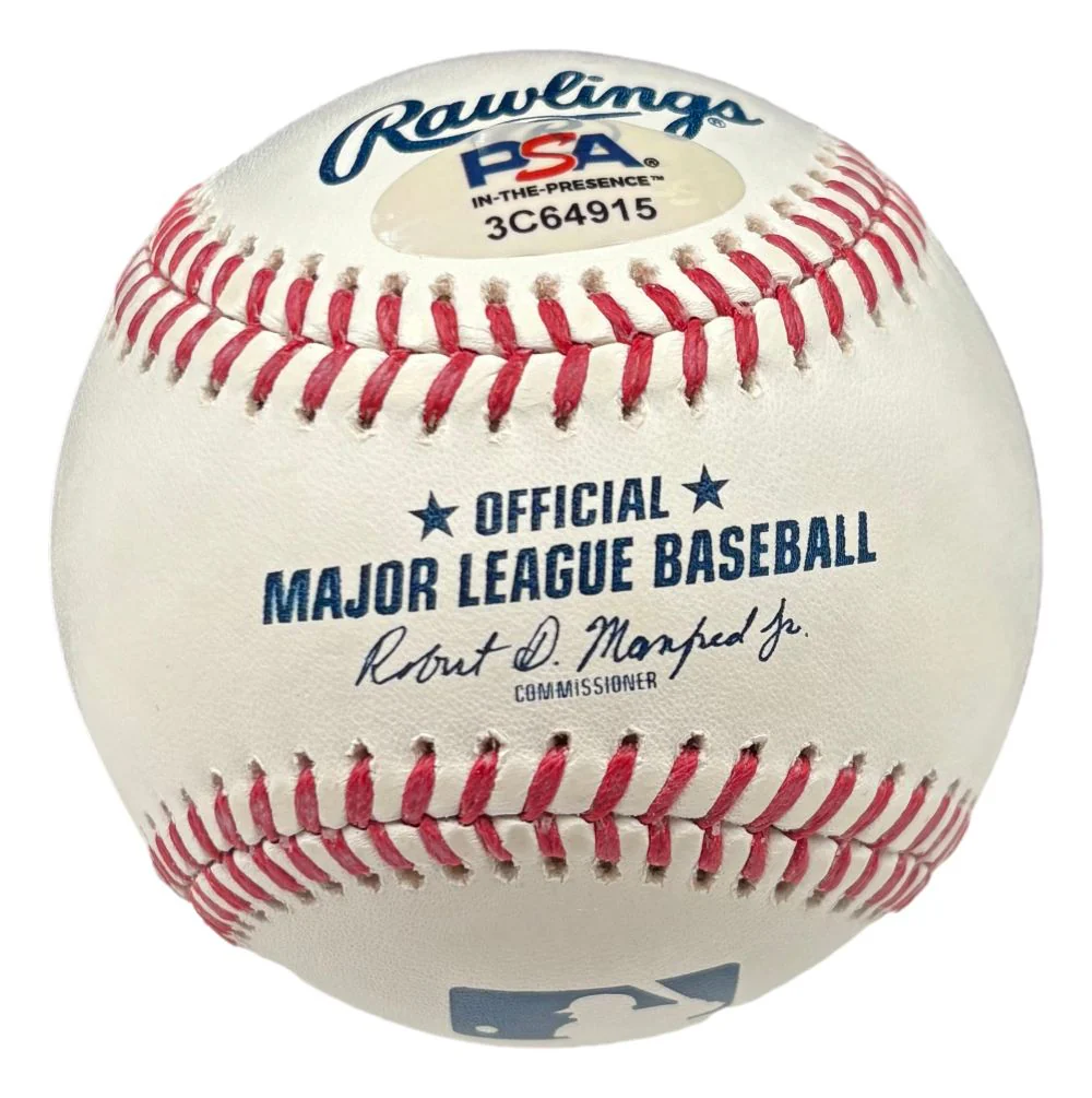 Jonathan Aranda Tampa Bay Rays Signed Official MLB Baseball PSA/DNA - Image 2