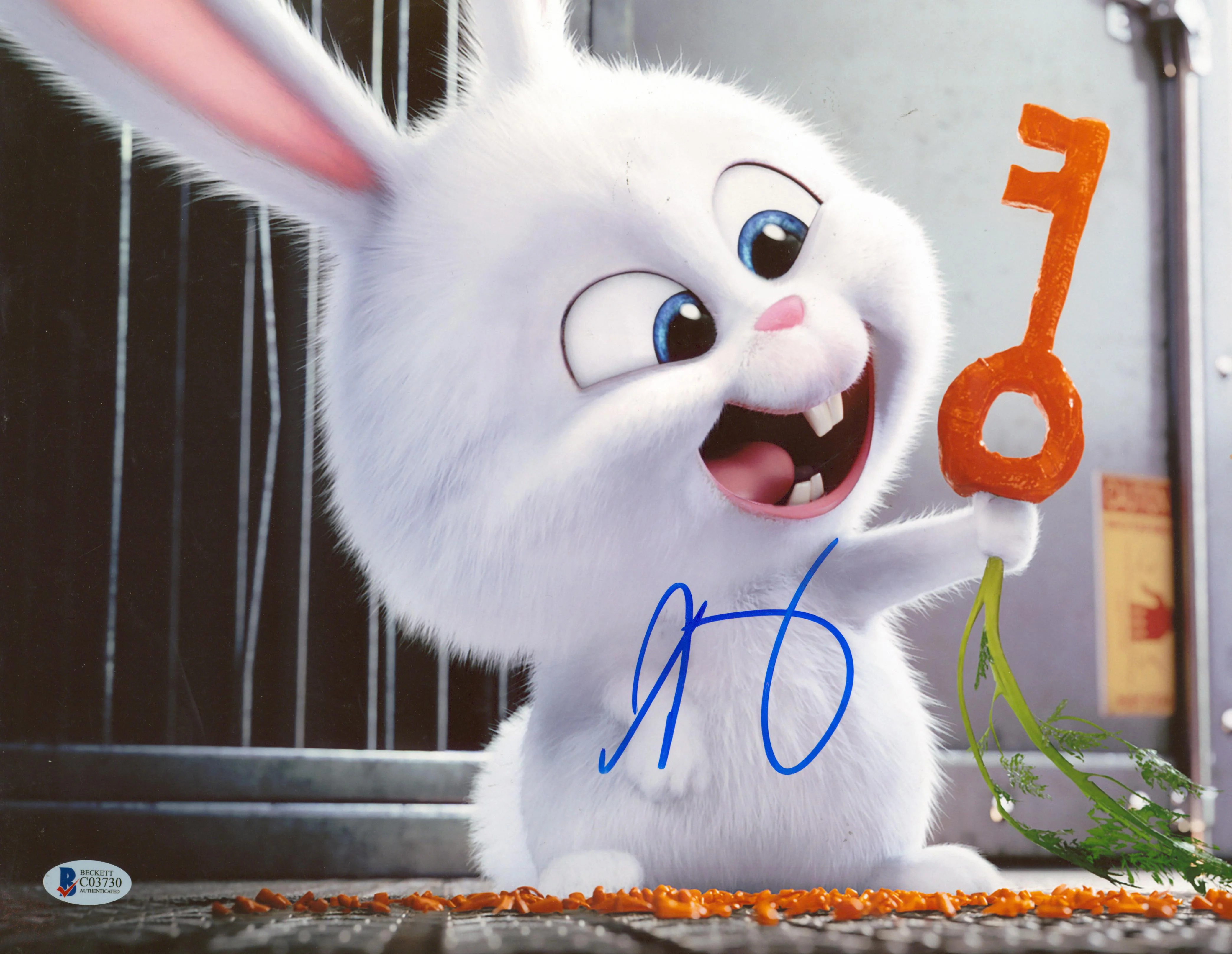 Kevin Hart The Secret Life of Pets Authentic Signed 11x14 Photo BAS #C03730
