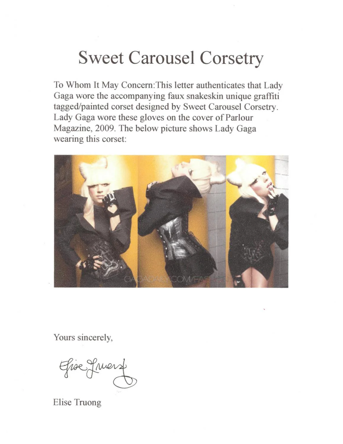 Lady Gaga Magazine Photoshoot Worn Faux Snake Skin Graffiti Style Corset - Image 6