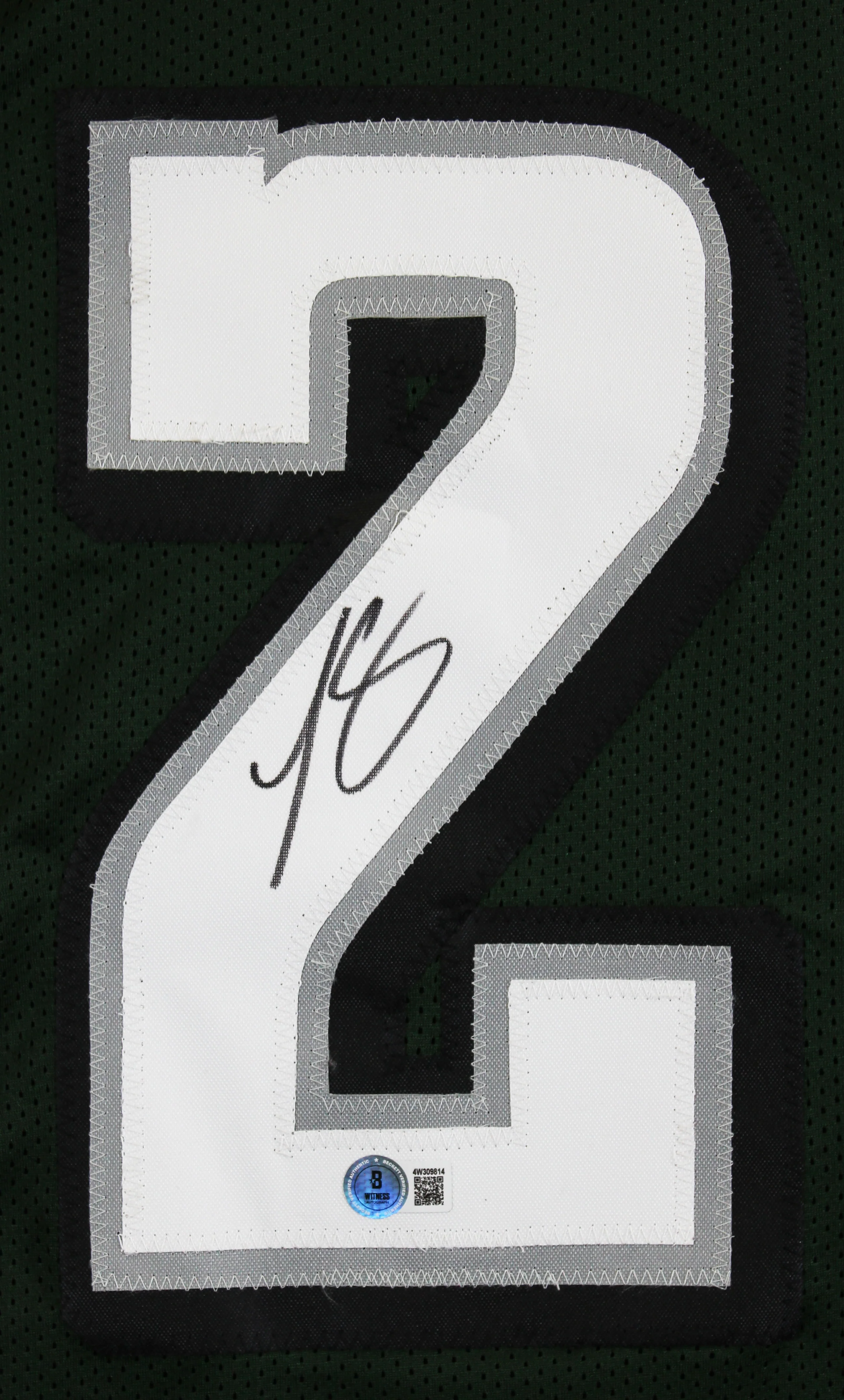 LeSean McCoy Authentic Signed Green Pro Style Framed Jersey BAS Witnessed - Image 3