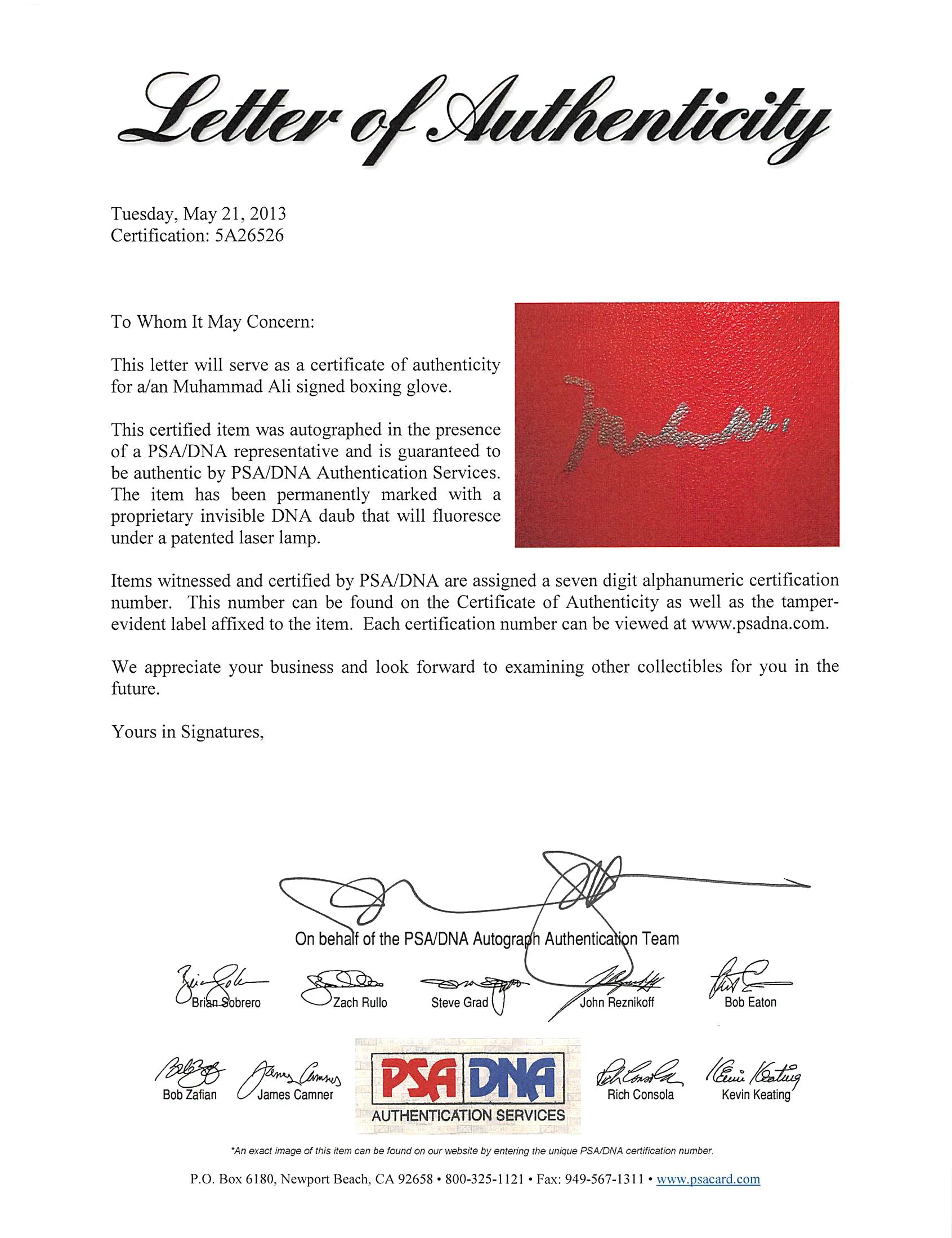 Muhammad Ali Authentic Signed Red Everlast Boxing Glove PSA/DNA Itp #5A26526 - Image 6