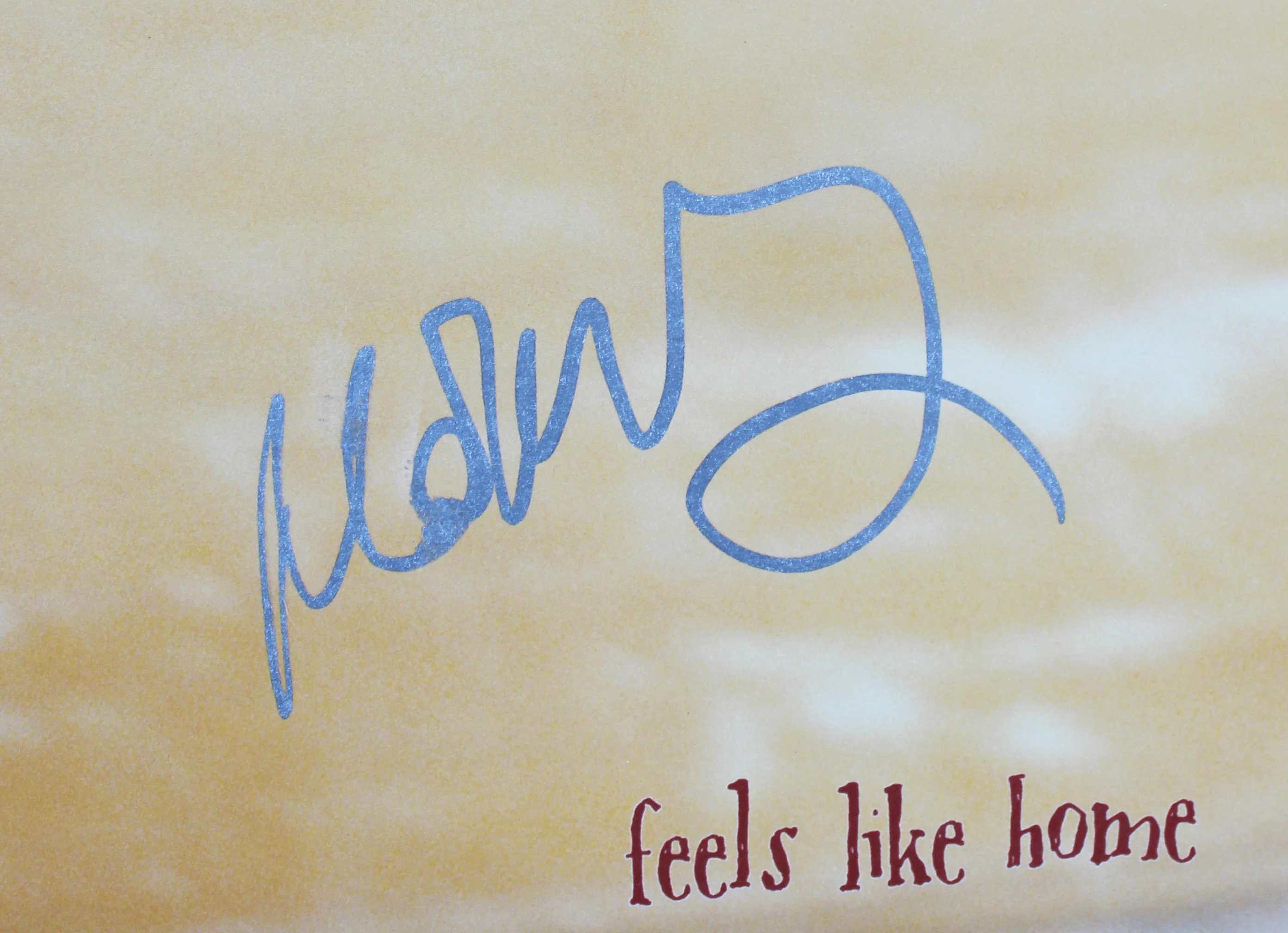 Norah Jones Authentic Signed Feels Like Home Album Cover W/ Vinyl BAS #CF71442 - Image 4