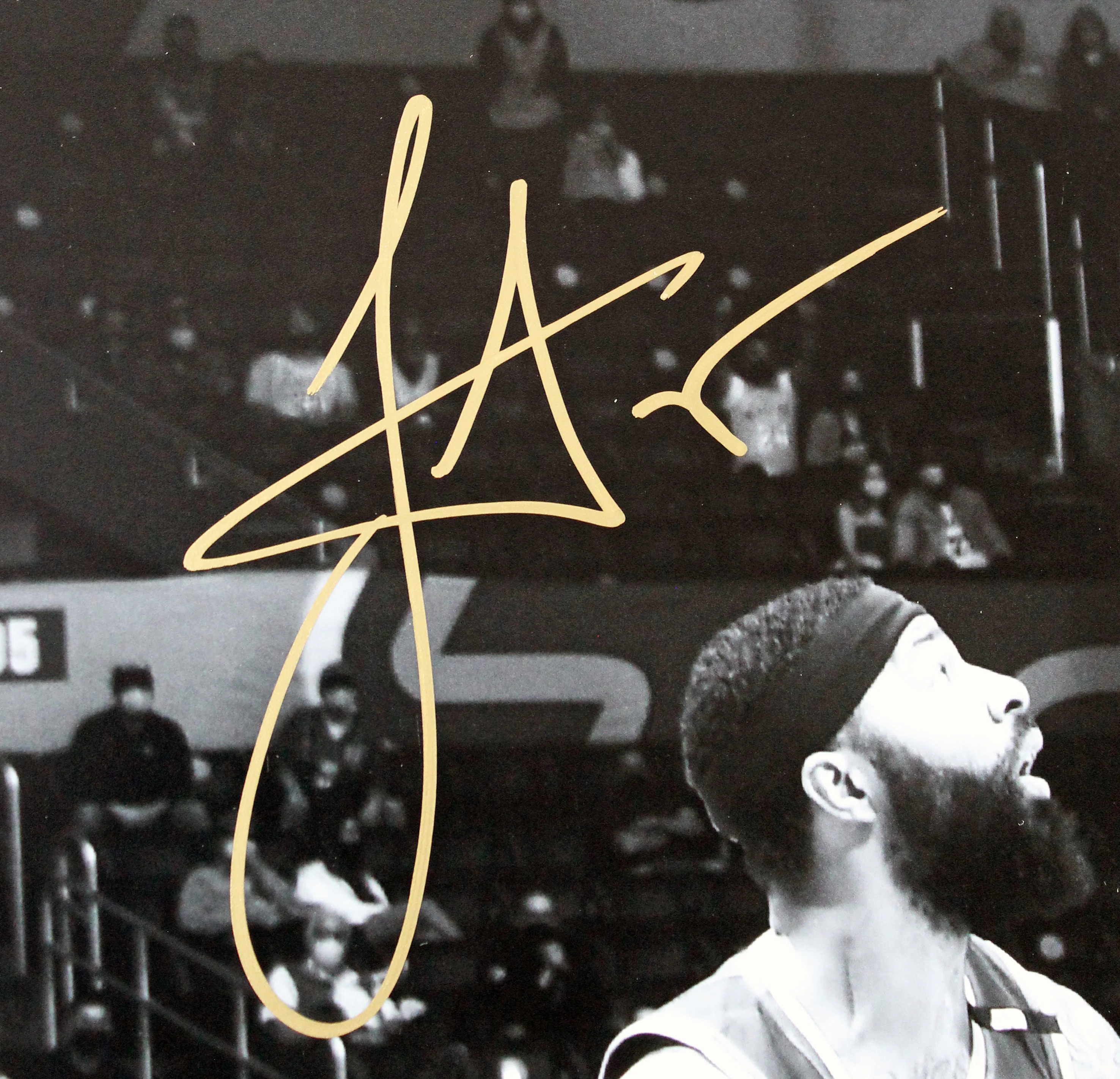 Nuggets Nikola Jokic Authentic Signed 16x20 Horizontal Spotlight Photo JSA - Image 3