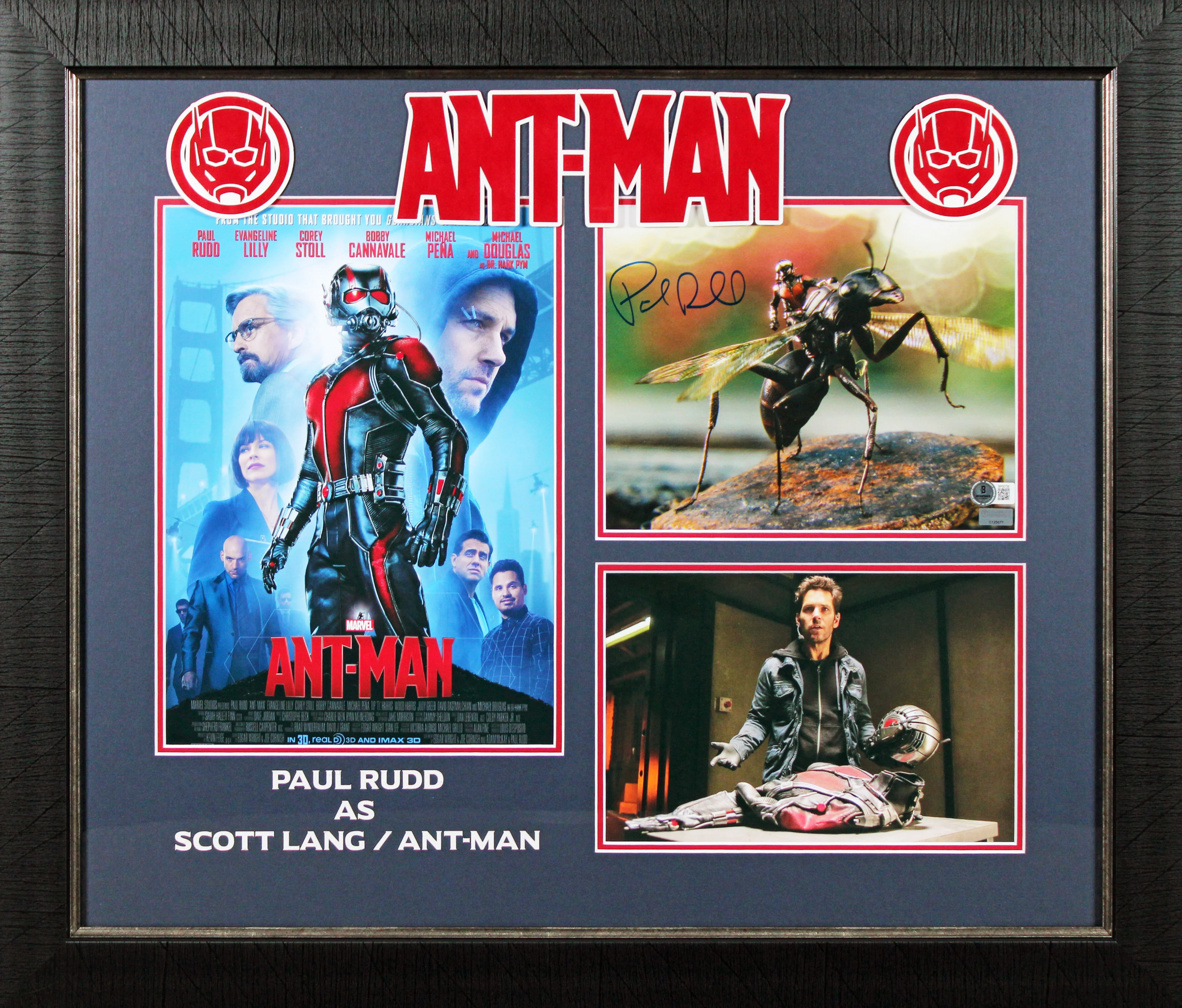Paul Rudd Ant-Man Authentic Signed 8x10 Framed Photo Autographed BAS #BP50726 - Image 2