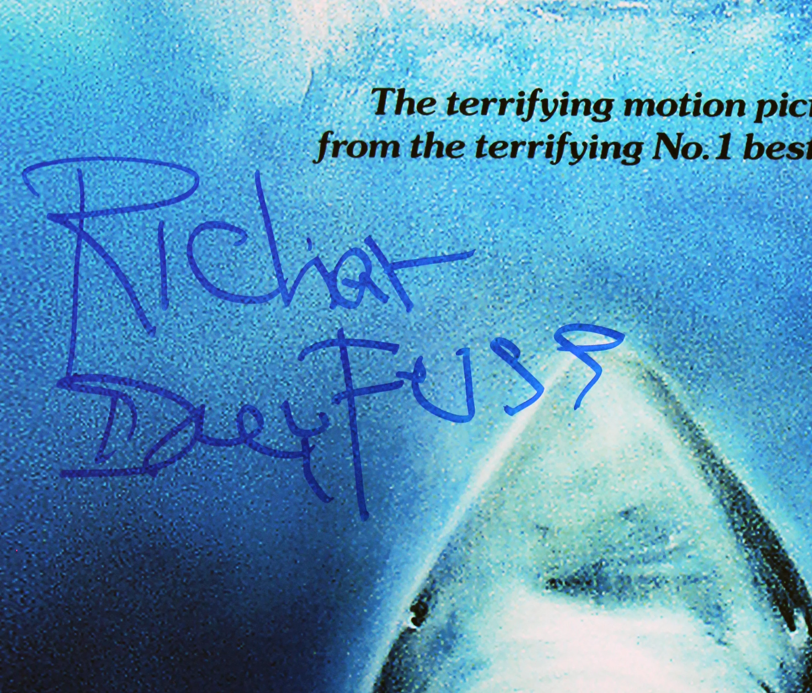 Richard Dreyfuss Jaws Signed 12x18 Mini Movie Poster Photo BAS #BV25089 - Image 3