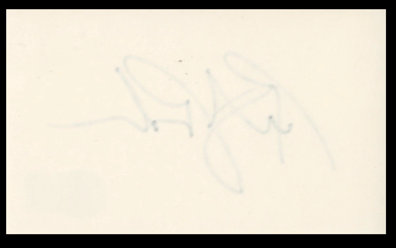 Rita Rudner Comedian & Actor Authentic Signed 3x5 Index Card BAS #BS29411 - Image 3