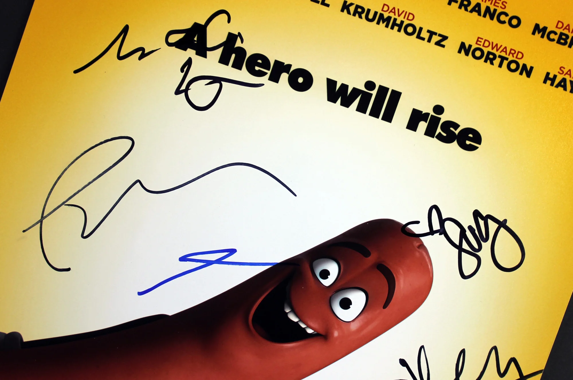 Sausage Party (Paul Rudd, David Krumholtz +8) Signed 12x18 Photo BAS #A85158 - Image 4