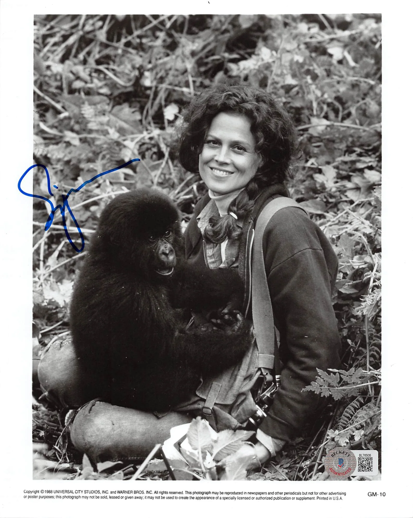 Sigourney Weaver Gorillas in the Mist Authentic Signed 8x10 Photo BAS #BL76508 - Image 2