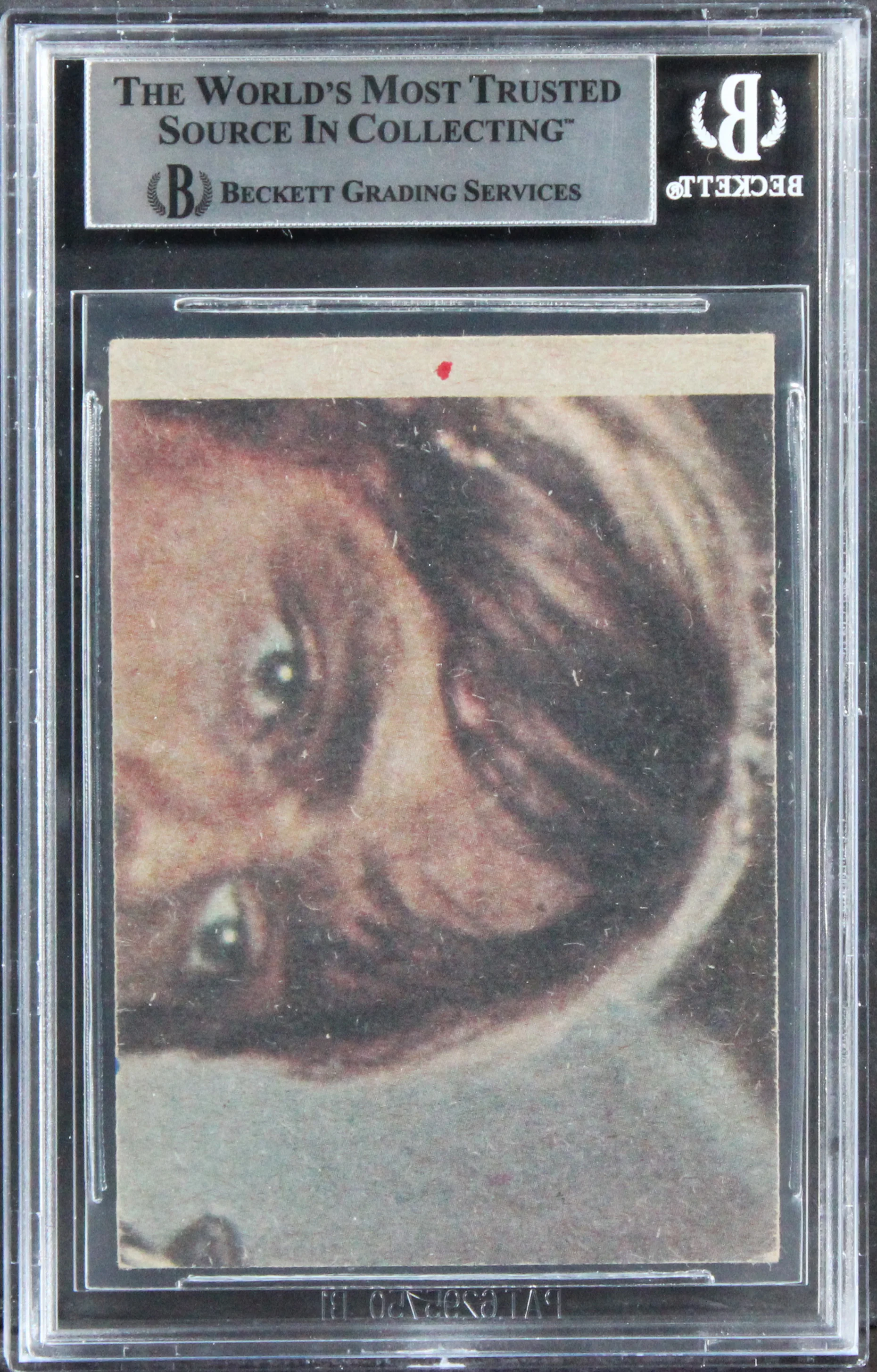 Star Wars (17) Harris, Bayley, Goode +14 Signed 1977 Stormtroopers Card BAS Slab - Image 3