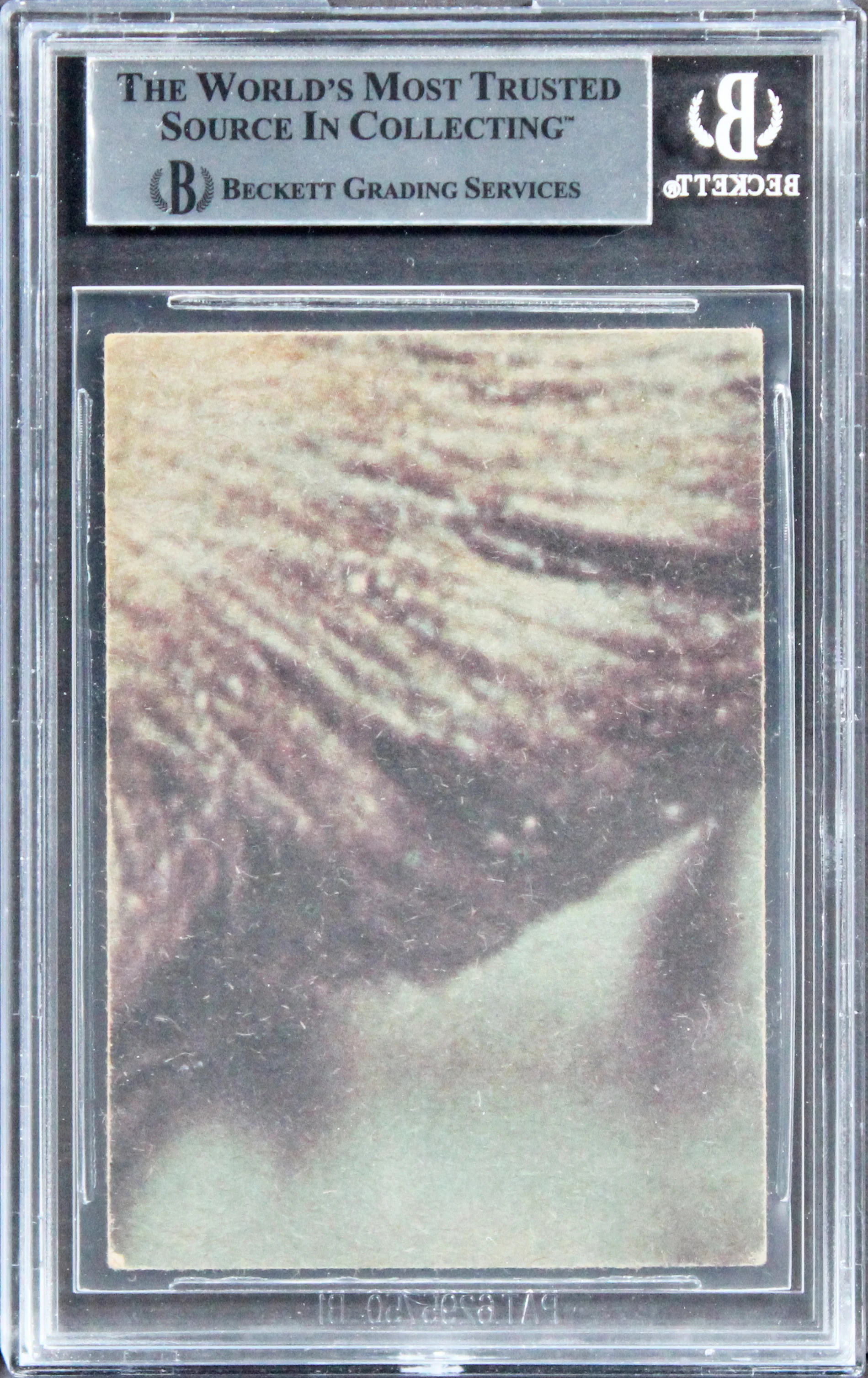 Star Wars (3) Hamill, Forrest & McGovern Signed 1977 Star Wars #94 Card BAS Slab - Image 3