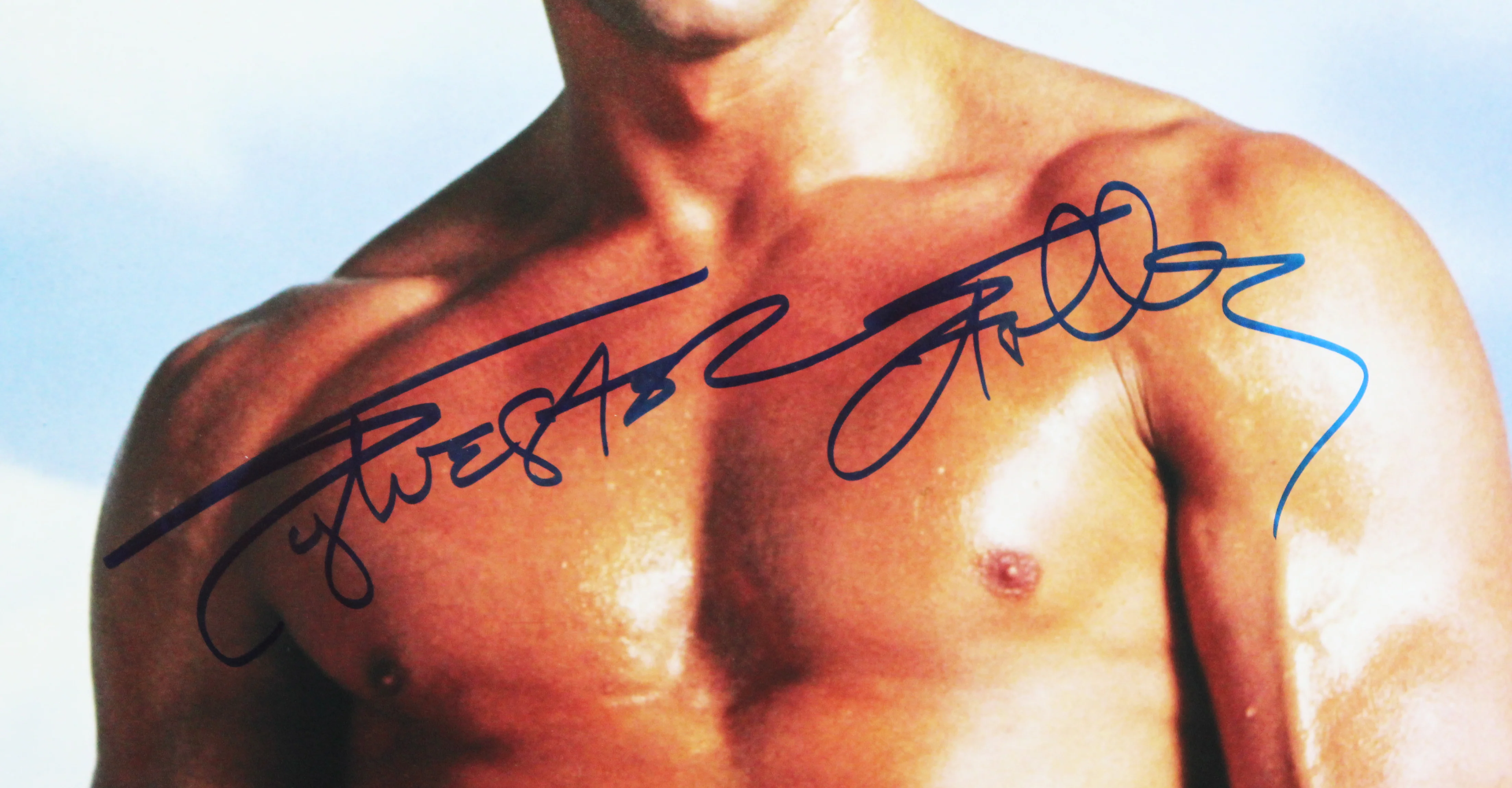 Sylvester Stallone Rocky Authentic Signed 16x20 Vertical Sky Photo BAS LOA 2 - Image 3