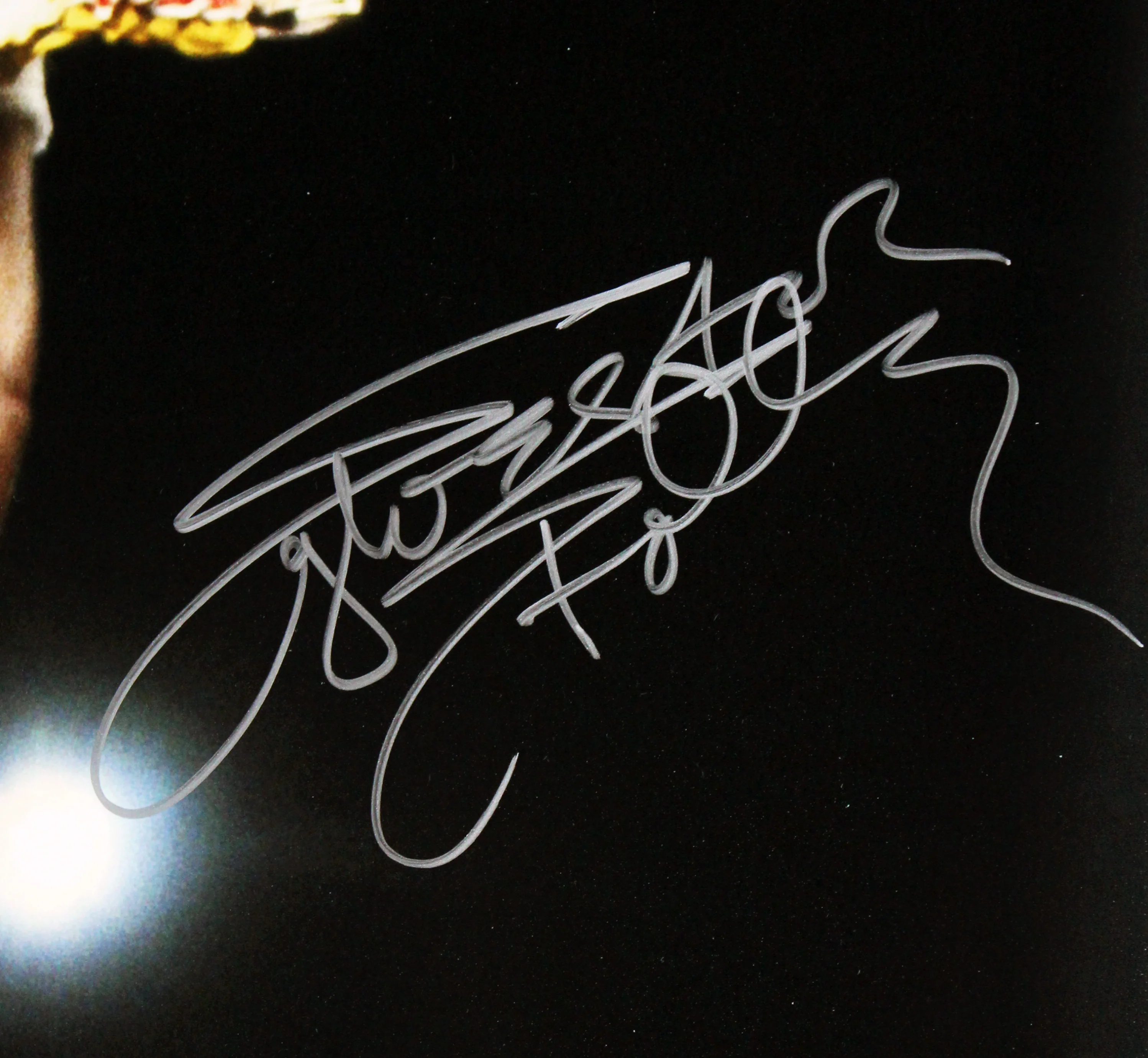Sylvester Stallone Rocky II Authentic Signed 16x20 Horizontal Belt Photo BAS - Image 3