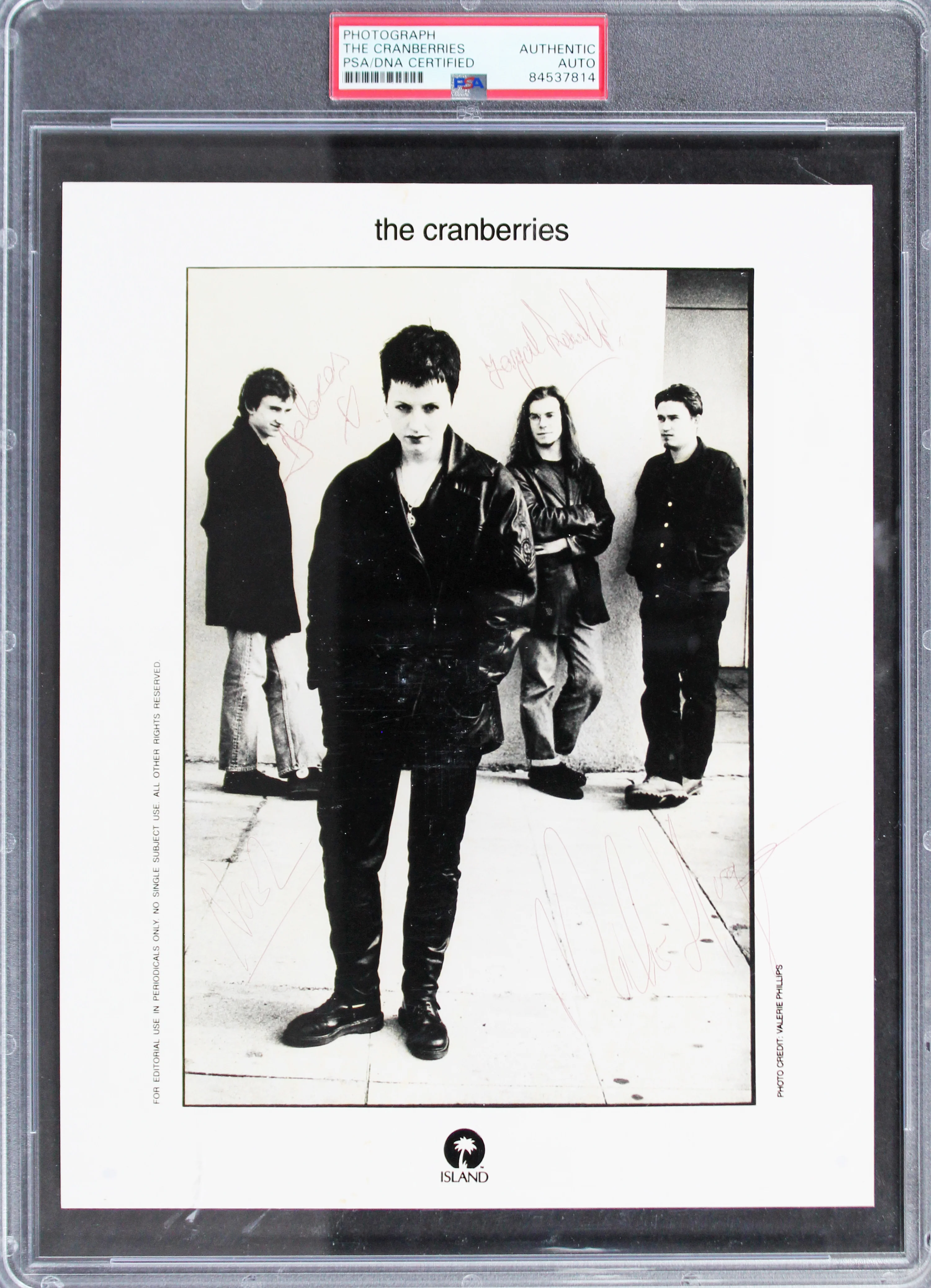 The Cranberries (4) O'Riordan, Lawler, Hogan & Hogan Signed 8x10 Photo PSA Slab - Image 2