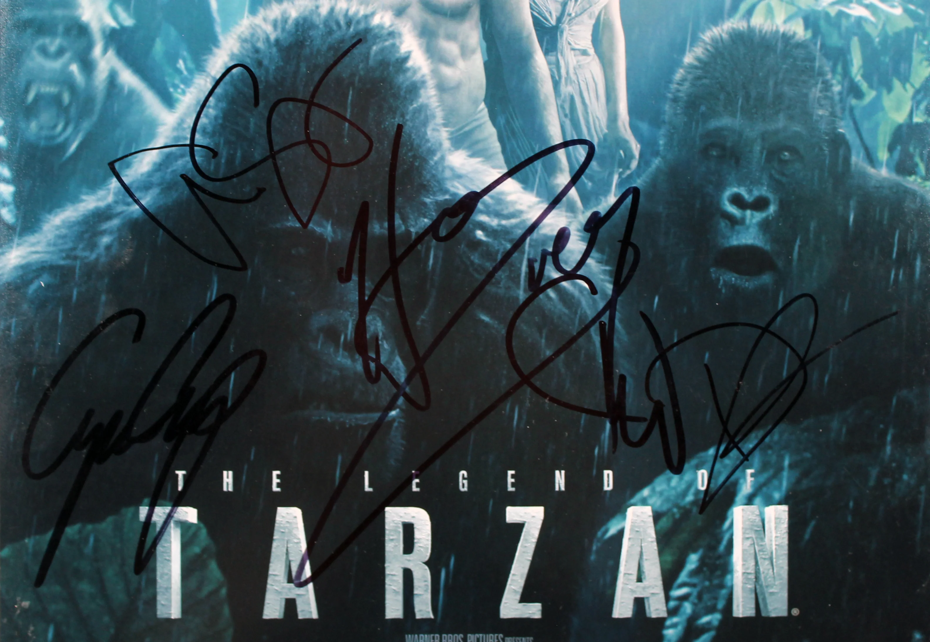 The Legend of Tarzan (5) Skarsgard, Waltz, Crump, +2 Signed 12x18 Photo BAS - Image 3