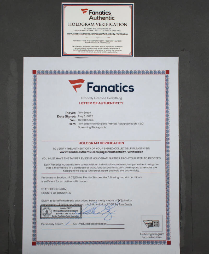 Tom Brady Autographed Patriots 16X20 Framed Celebration Photo - Fanatics/LOA - Image 3