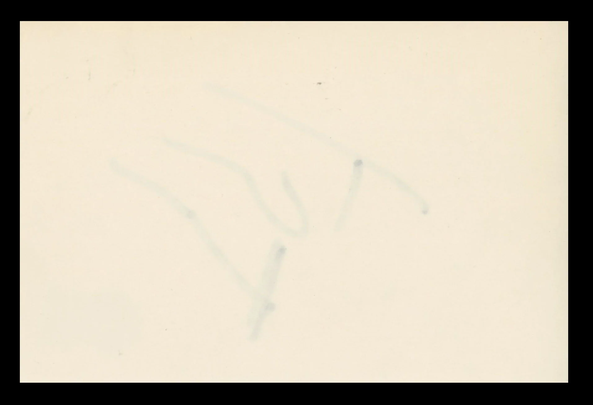 Tom Sizemore Saving Private Ryan Authentic Signed 4x6 Index Card BAS #BS29444 - Image 3