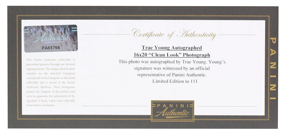 Trae Young Signed Framed Atlanta Hawks 16x20 Basketball Clean Look Photo Panini - Image 4