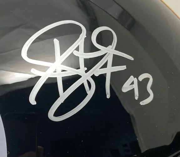 Troy Polamalu Signed Pittsburgh Steelers Full Size Speed Replica Helmet BAS ITP - Image 2
