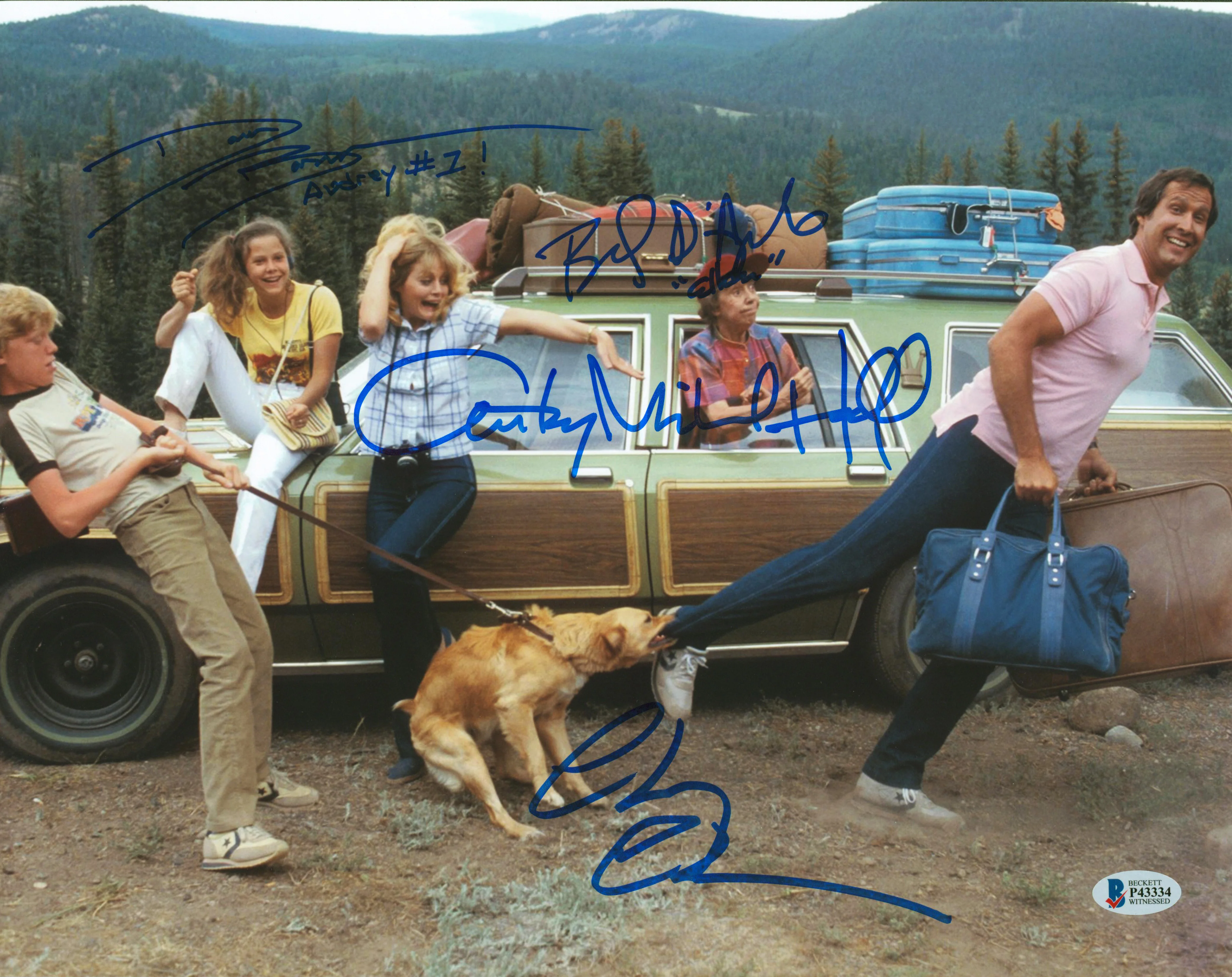 Vacation (4) Chase, D'Angelo, Hall & Barron Signed 11x14 Photo BAS Witnessed 1 - Image 2