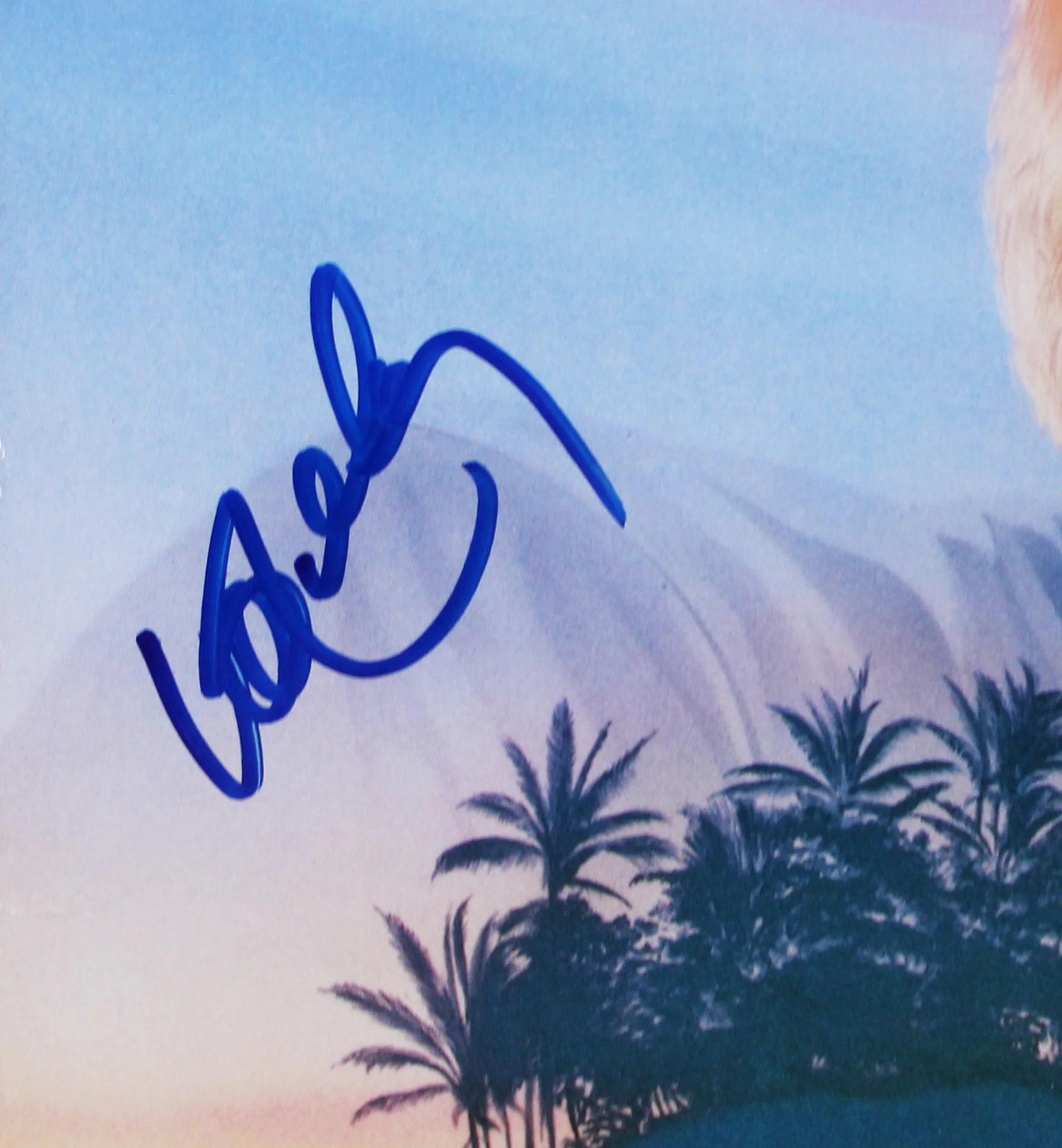 Willie Nelson Signed Island in the Sea Album Cover W/ Vinyl BAS #BR41233 - Image 4