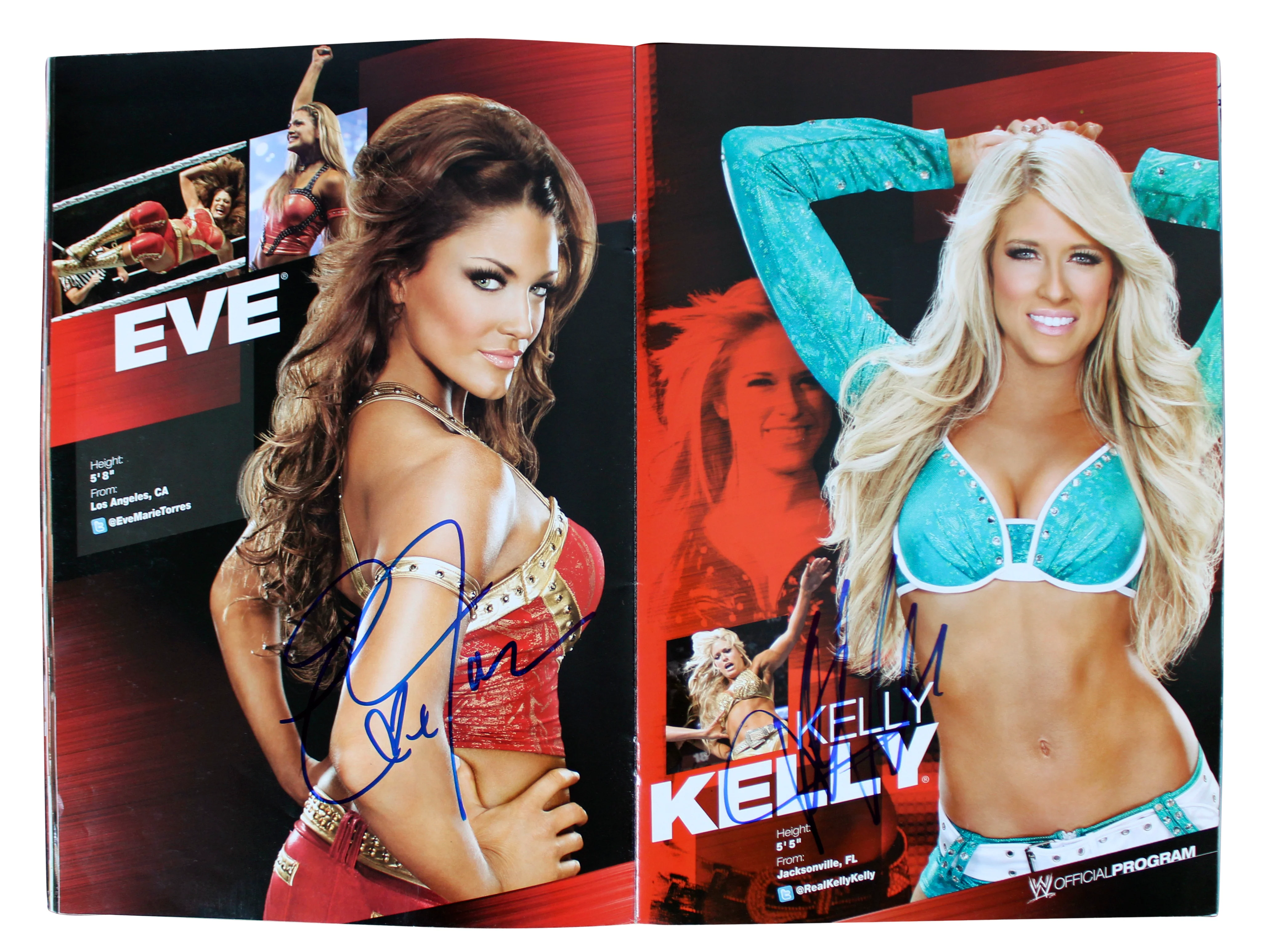 WWE Superstars (54) Rhodes, Kane, Sheamus, Mysterio Signed Official Program BAS - Image 6